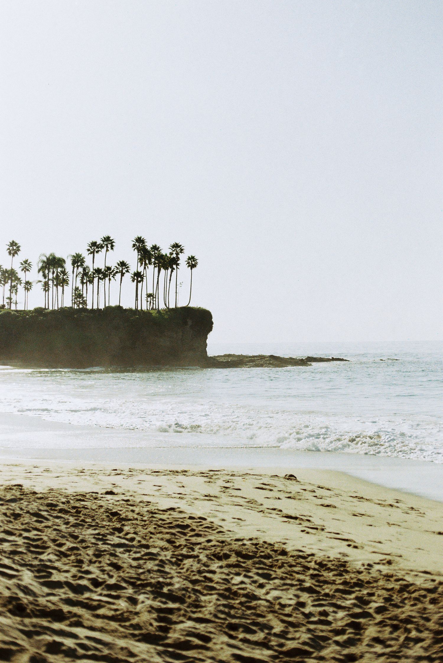 Palm trees line a rocky coastal cliff overlooking a serene beach with gentle waves.