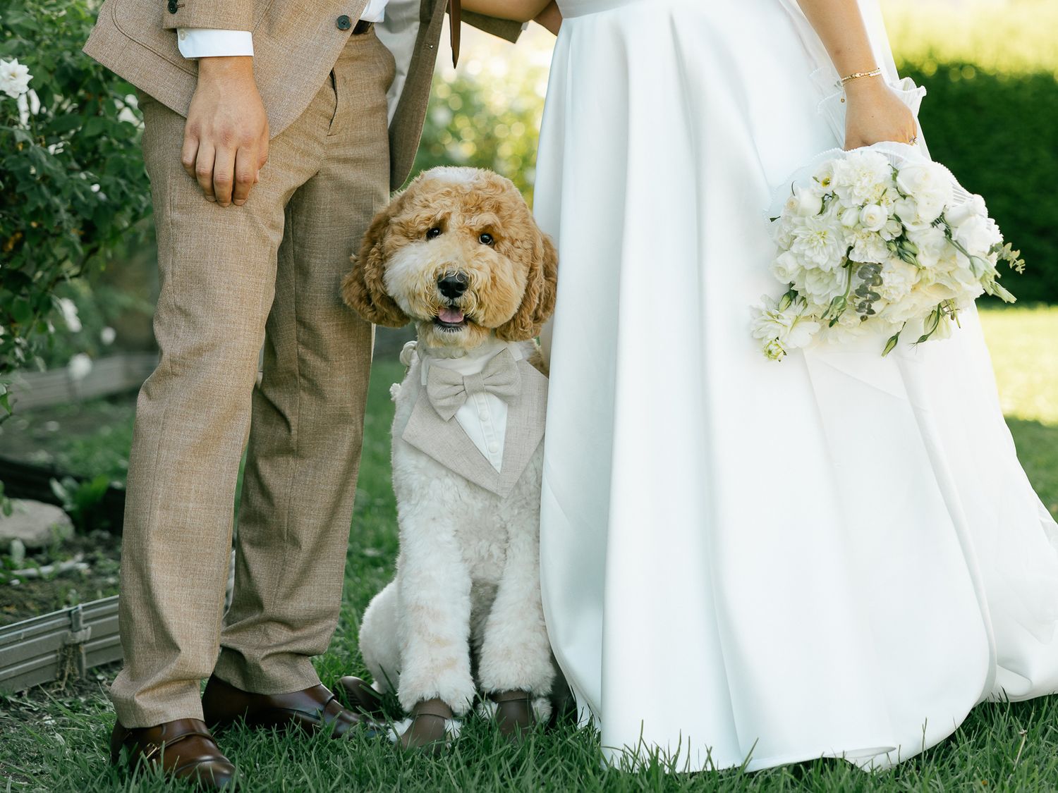 A goldendoodle dog in formal attire stands between two people at an outdoor wedding with white floral bouquet.