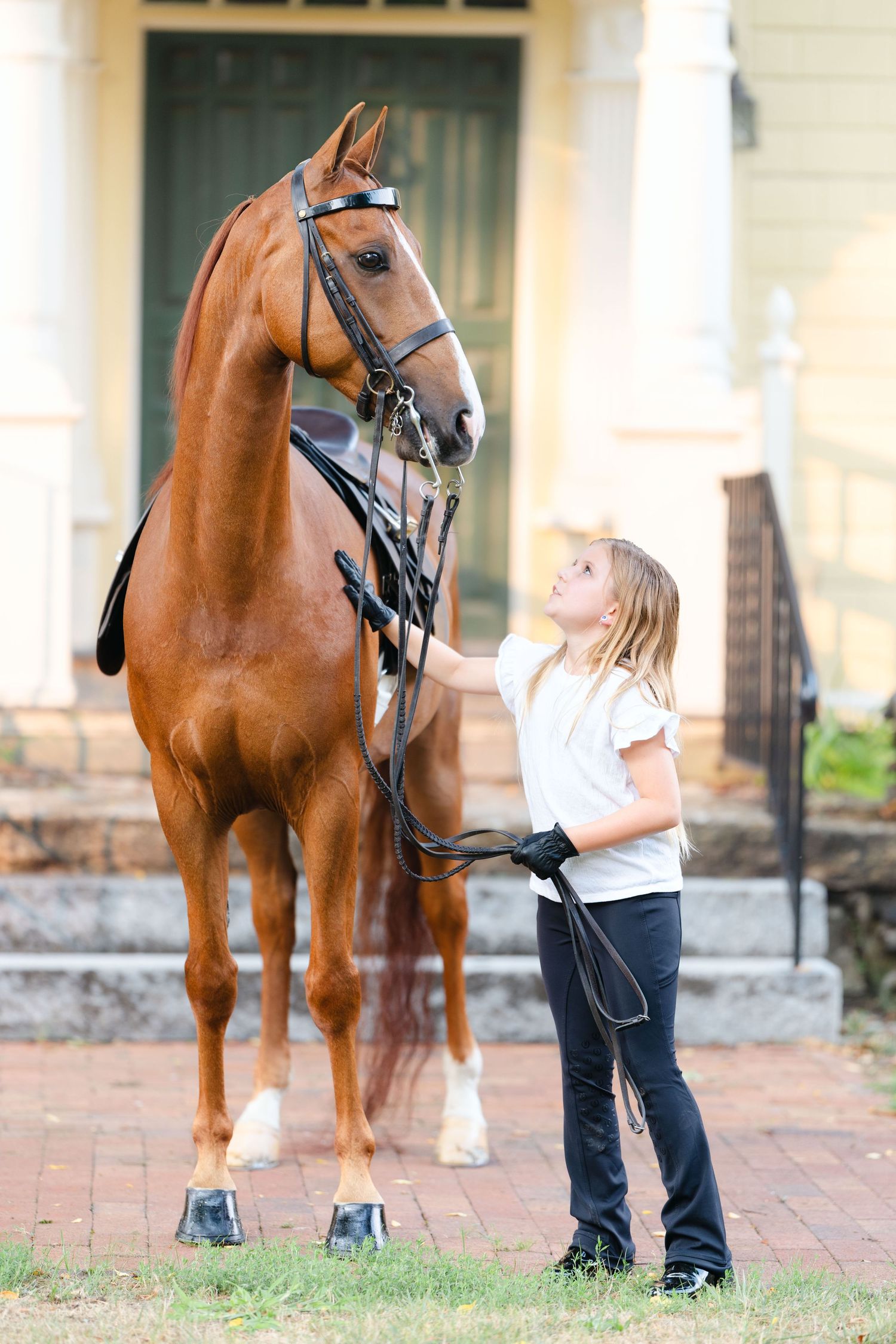 A young handler in riding attire stands next to a chestnut brown horse with white markings wearing show tack.