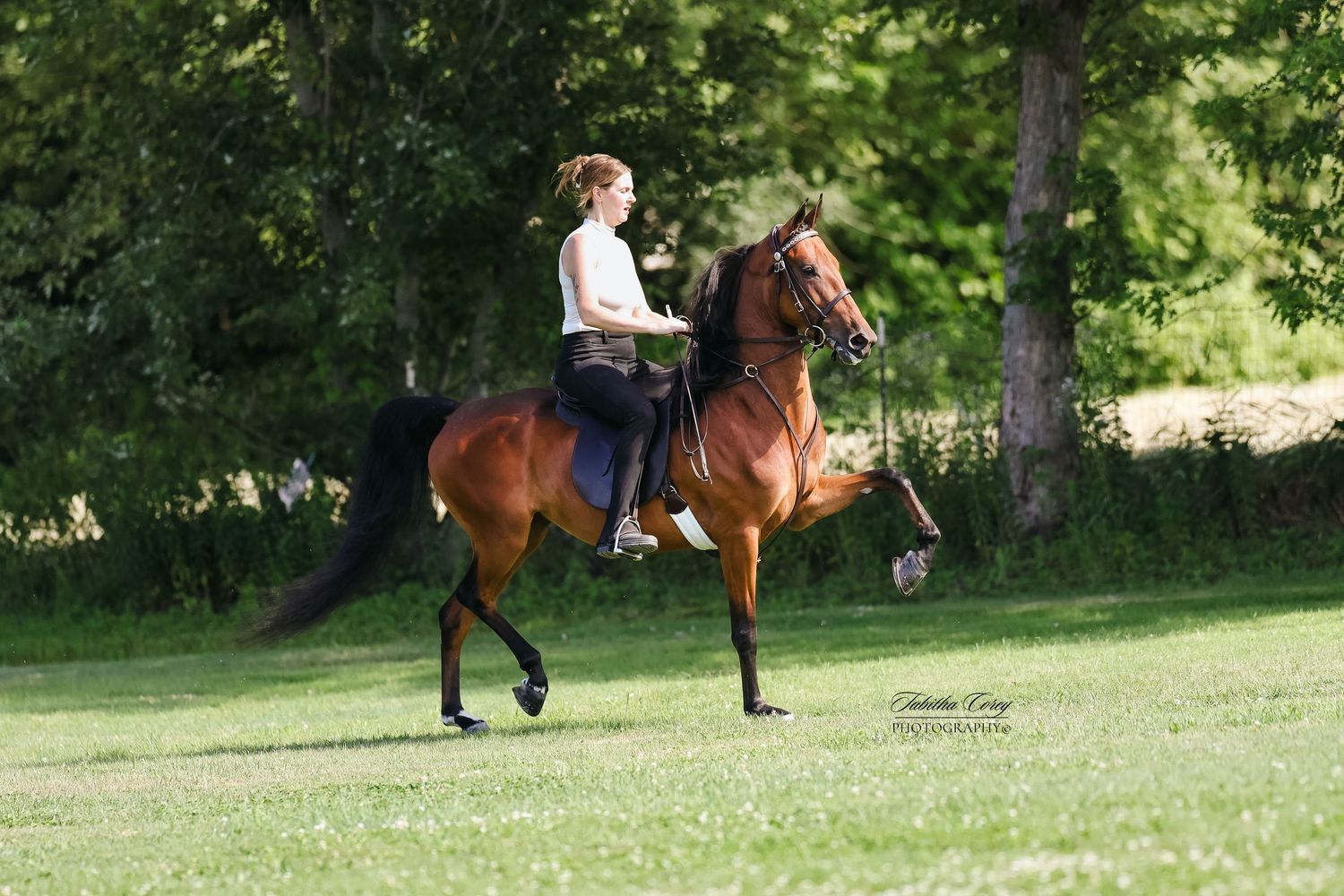 A brown horse and rider trotting in a lush green field on a sunny day.