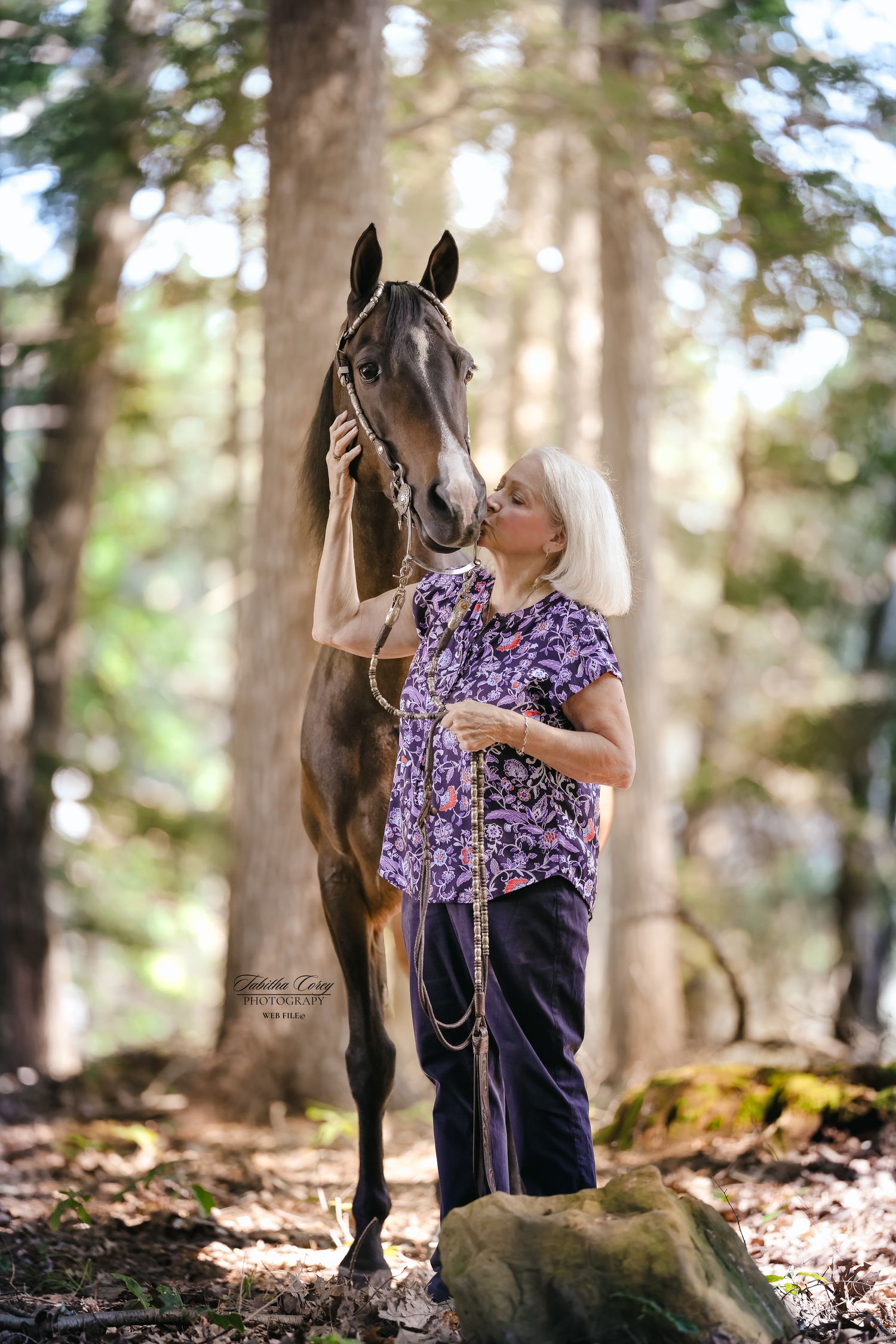 A dark horse and companion share a tender moment in a sunlit forest setting.