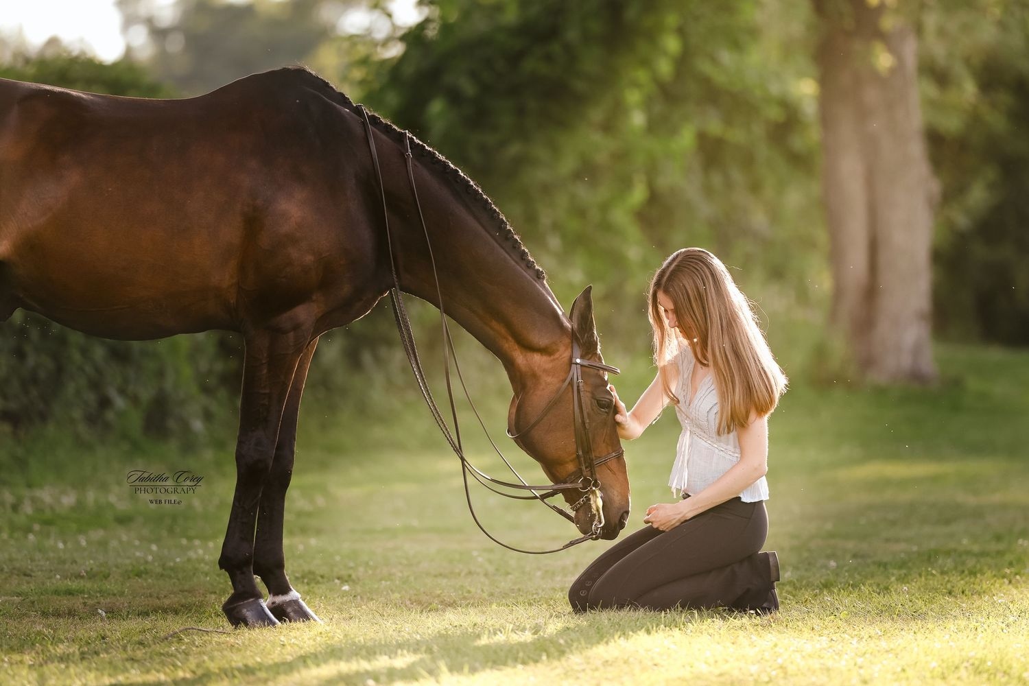 Brown horse and person sharing a tender moment on grass in golden sunlight with trees in background.