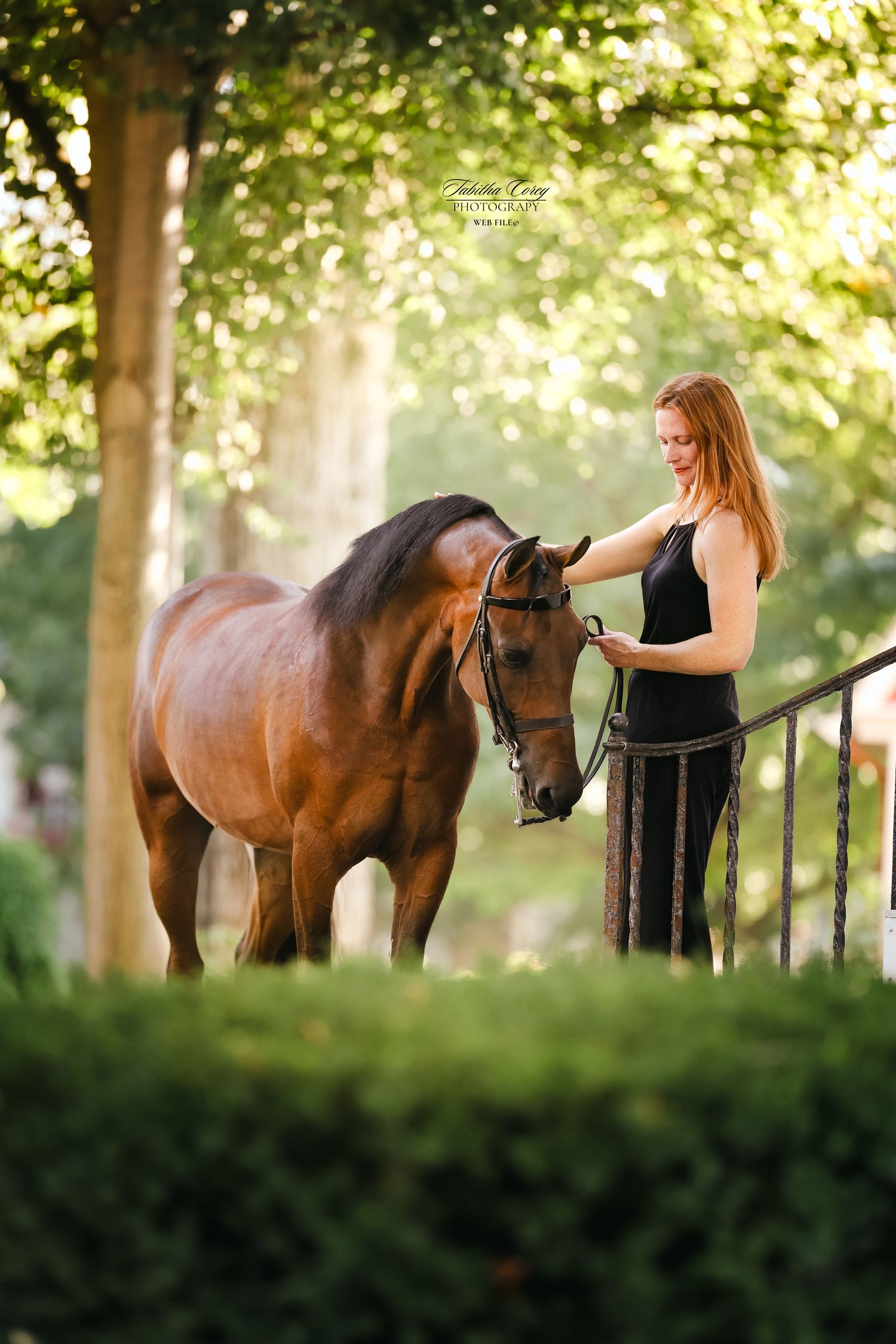 A redheaded woman in a black dress stands beside a chestnut horse on a lush green tree-lined path.