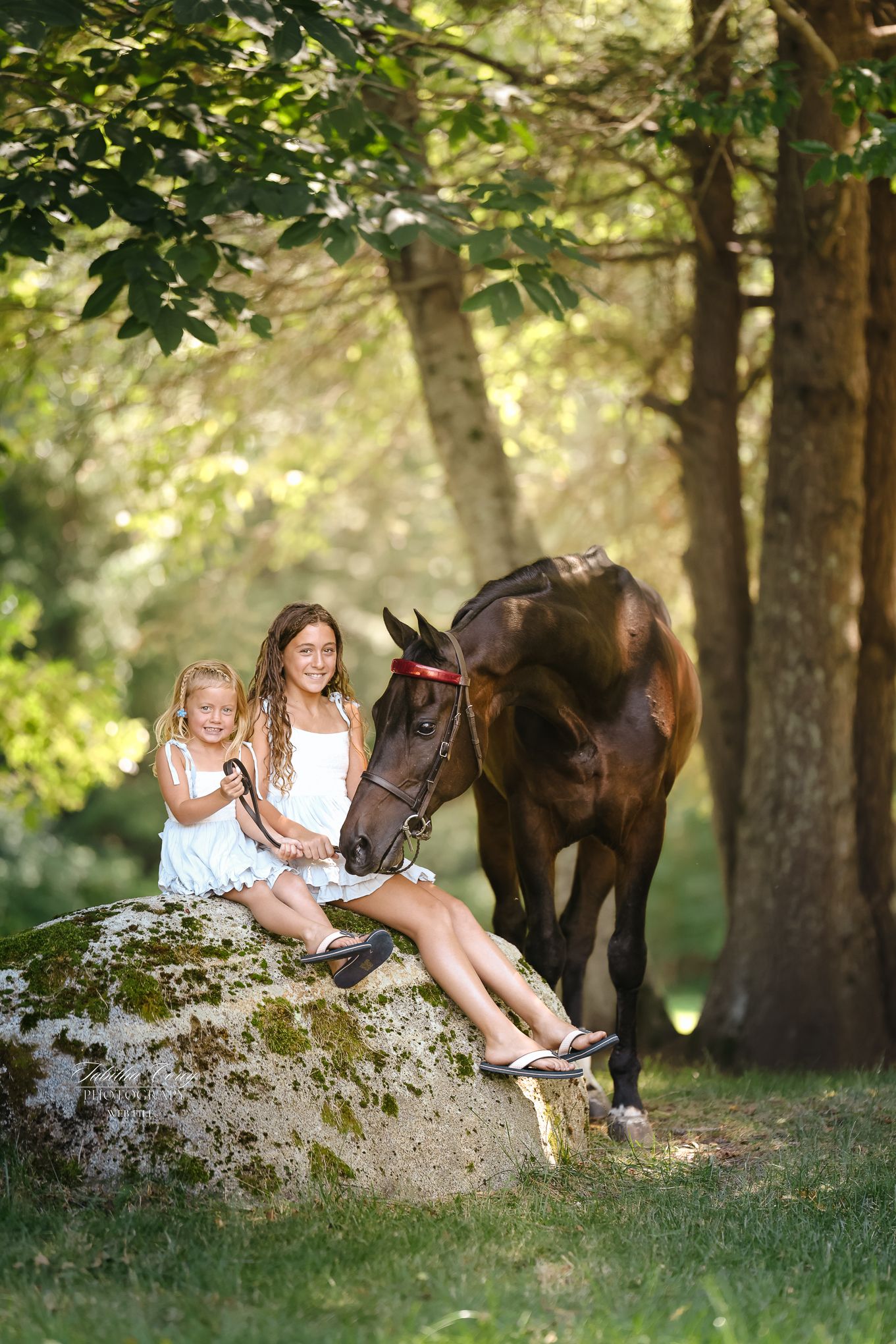 Two children sit on a large rock in a forest setting with a brown horse beside them.