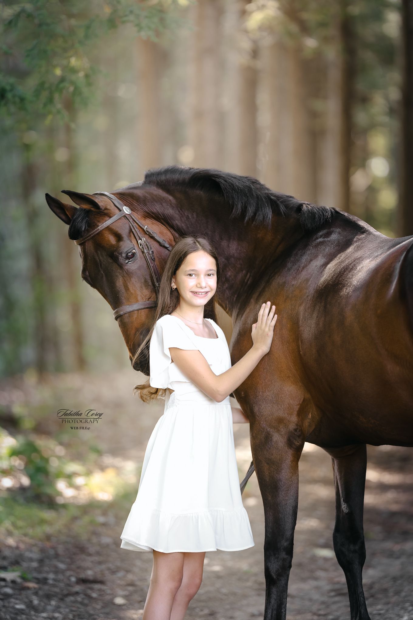 A child in a white dress stands beside a dark brown horse in a serene wooded setting during a photoshoot.