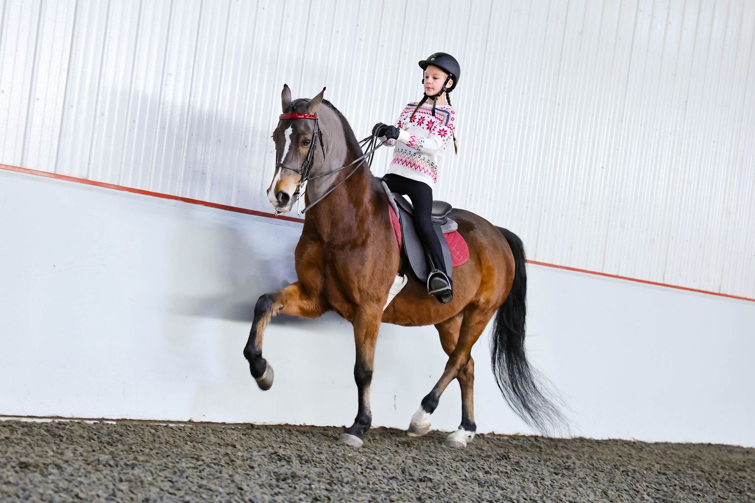 A rider in pink and black clothing guides a bay horse down the rail in an indoor arena.