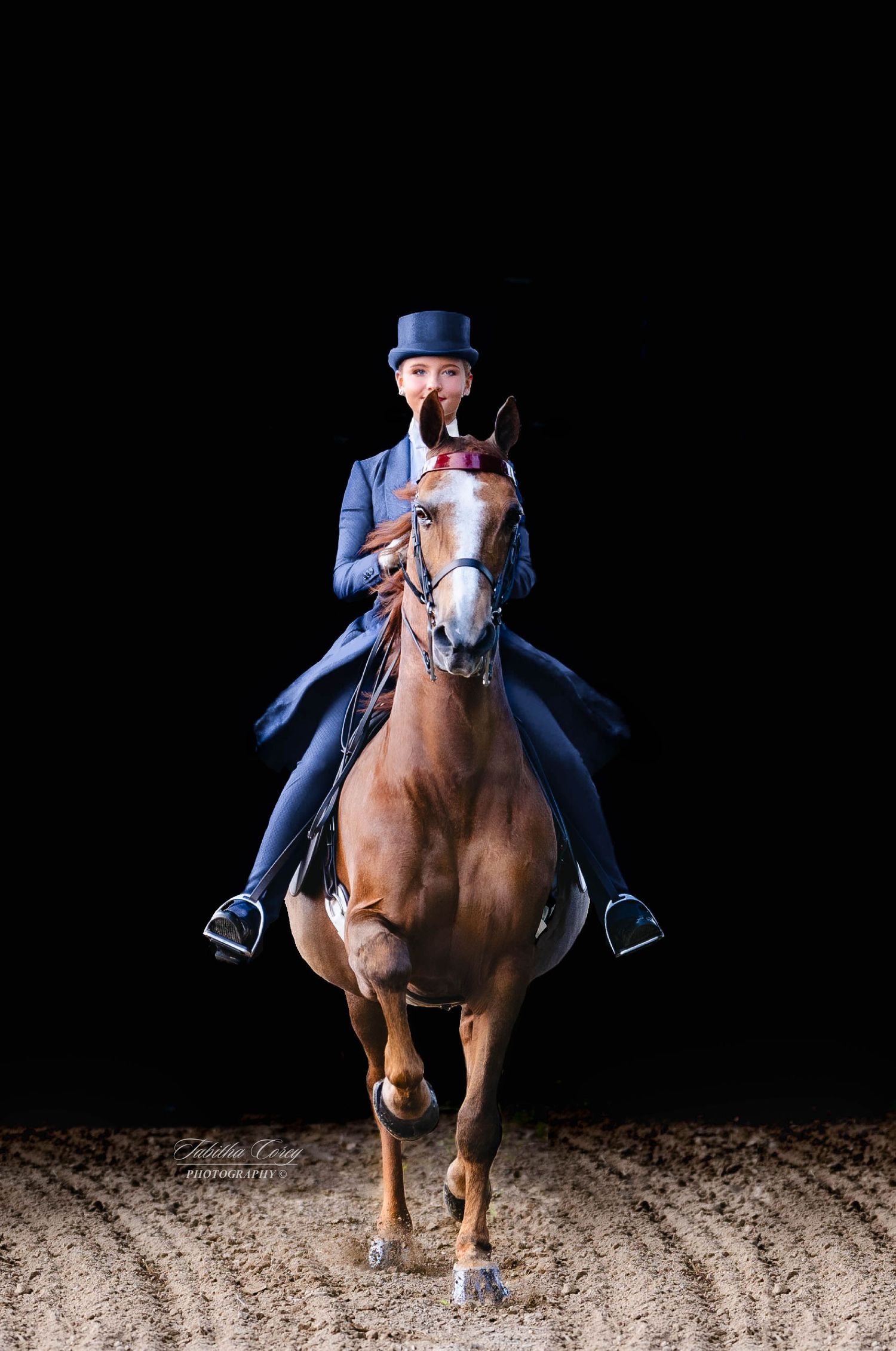 An equestrian rider in a navy blue outfit performs on a chestnut horse against a black background.
