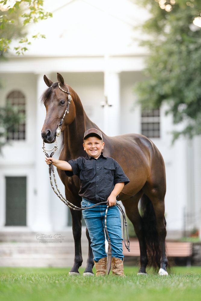 Young child in black shirt and jeans stands confidently next to a majestic bay horse on a lush lawn in front of old fashioned white church.