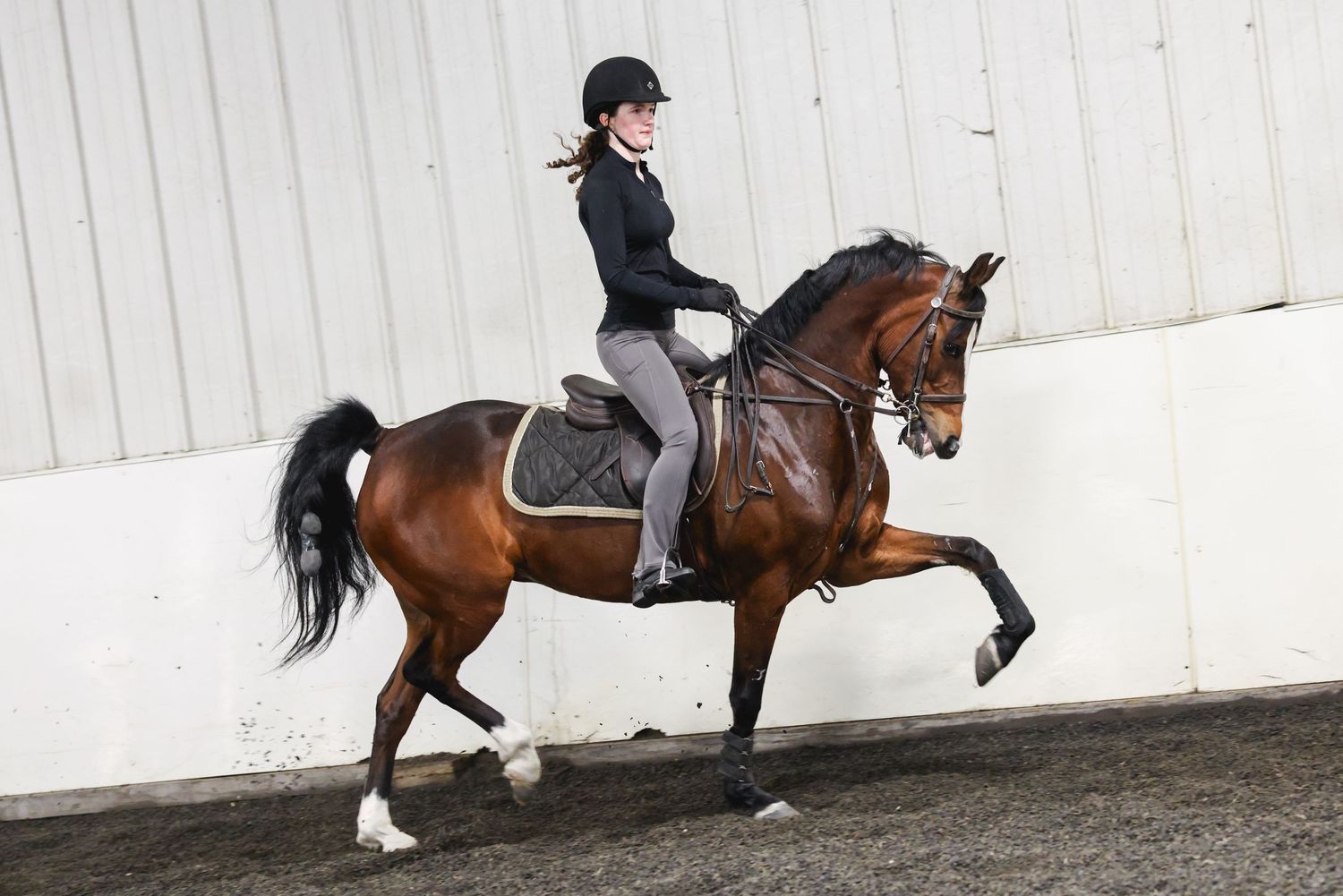 An equestrian rider preforms on a bay horse with black mane against a white wall.