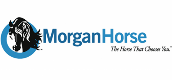 A blue and black MorganHorse company logo featuring a stylized horse head silhouette with text on white background.