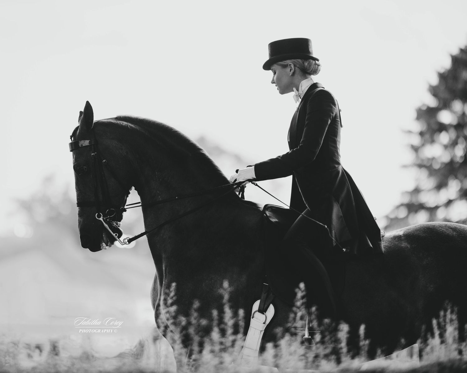 A rider in formal equestrian attire sits elegantly atop a black horse in a scenic outdoor setting in black and white.