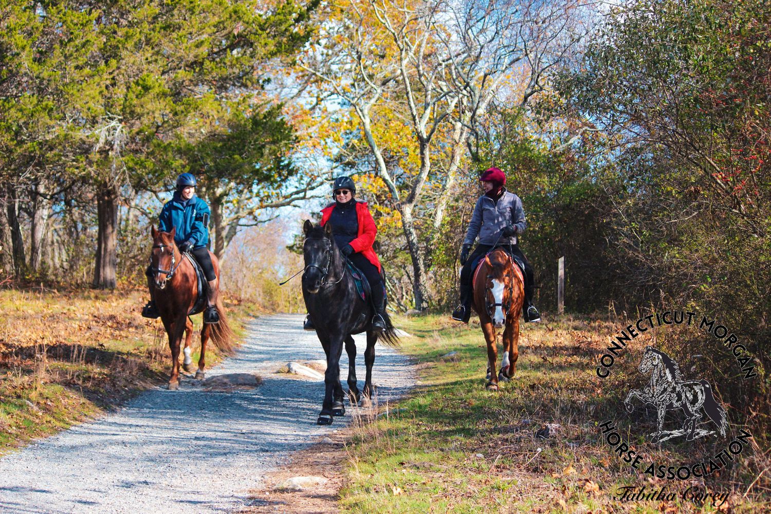 Three people riding horses on a scenic trail path surrounded by autumn trees and foliage on a sunny day.