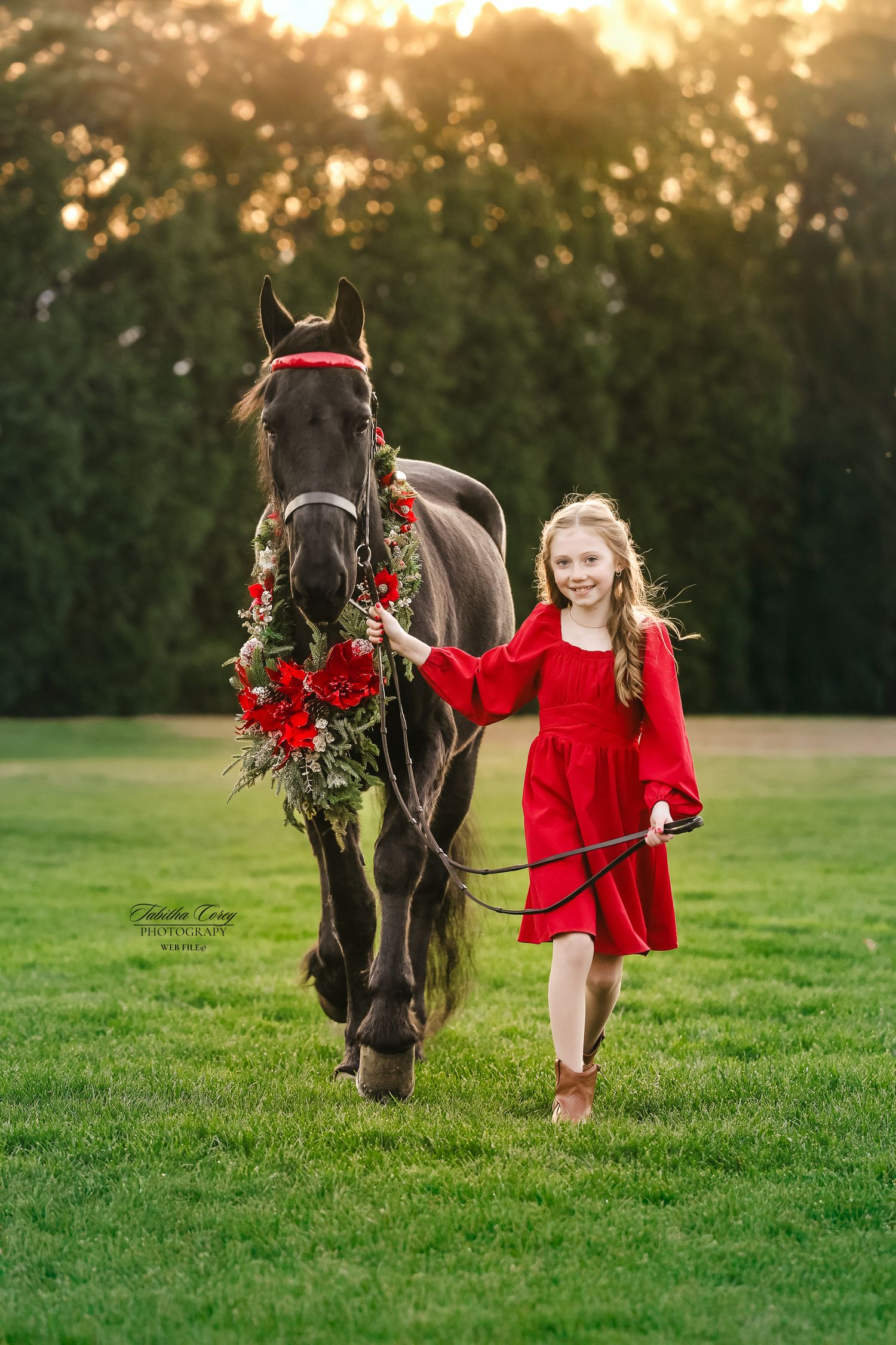 Girl in red dress leads black horse adorned with red and green Christmas wreath across green field at golden hour sunset.