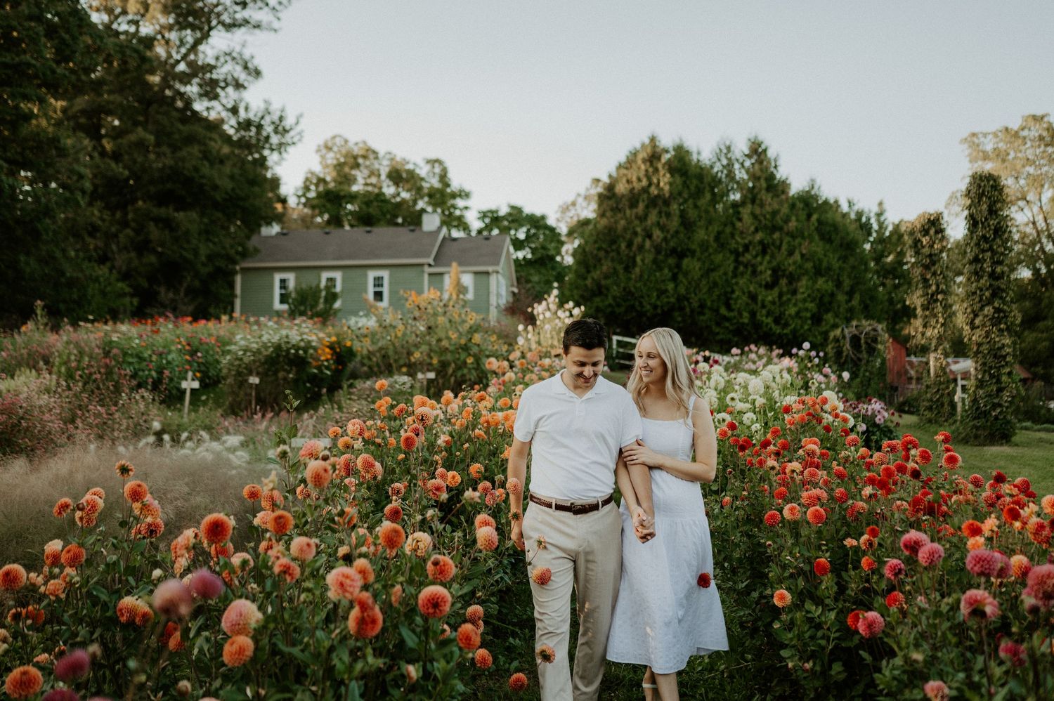 A couple stands together in a vibrant garden of red flowers with a charming green house in the background at sunset.