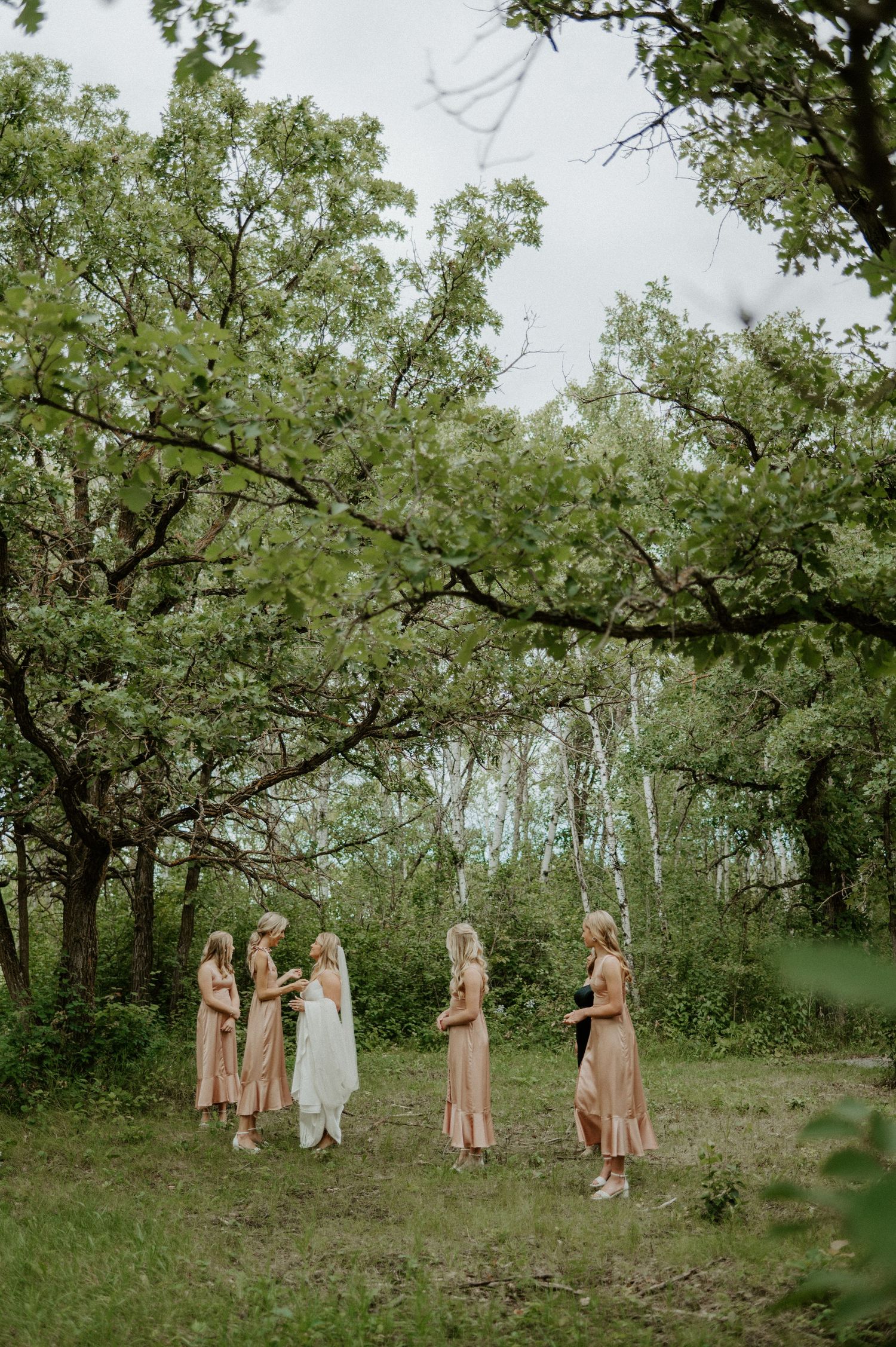 A gathering of bridesmaids in blush pink dresses stand together under lush green trees during an outdoor wedding.