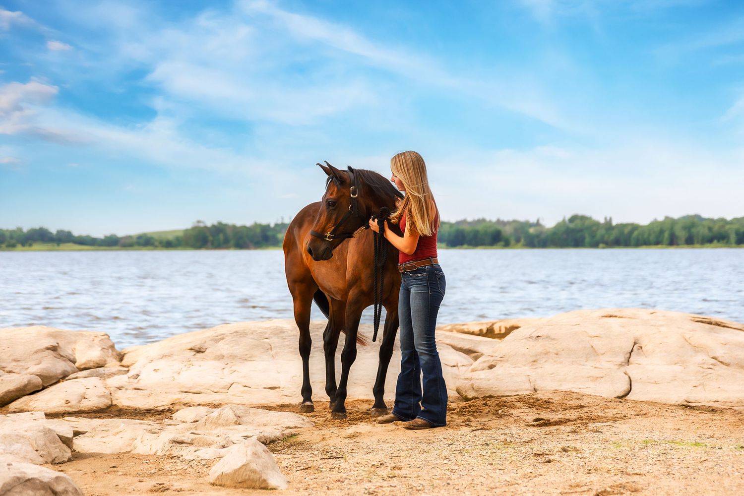 A horse and its companion stand together on a sandy beach shoreline against a bright blue sky and water backdrop.