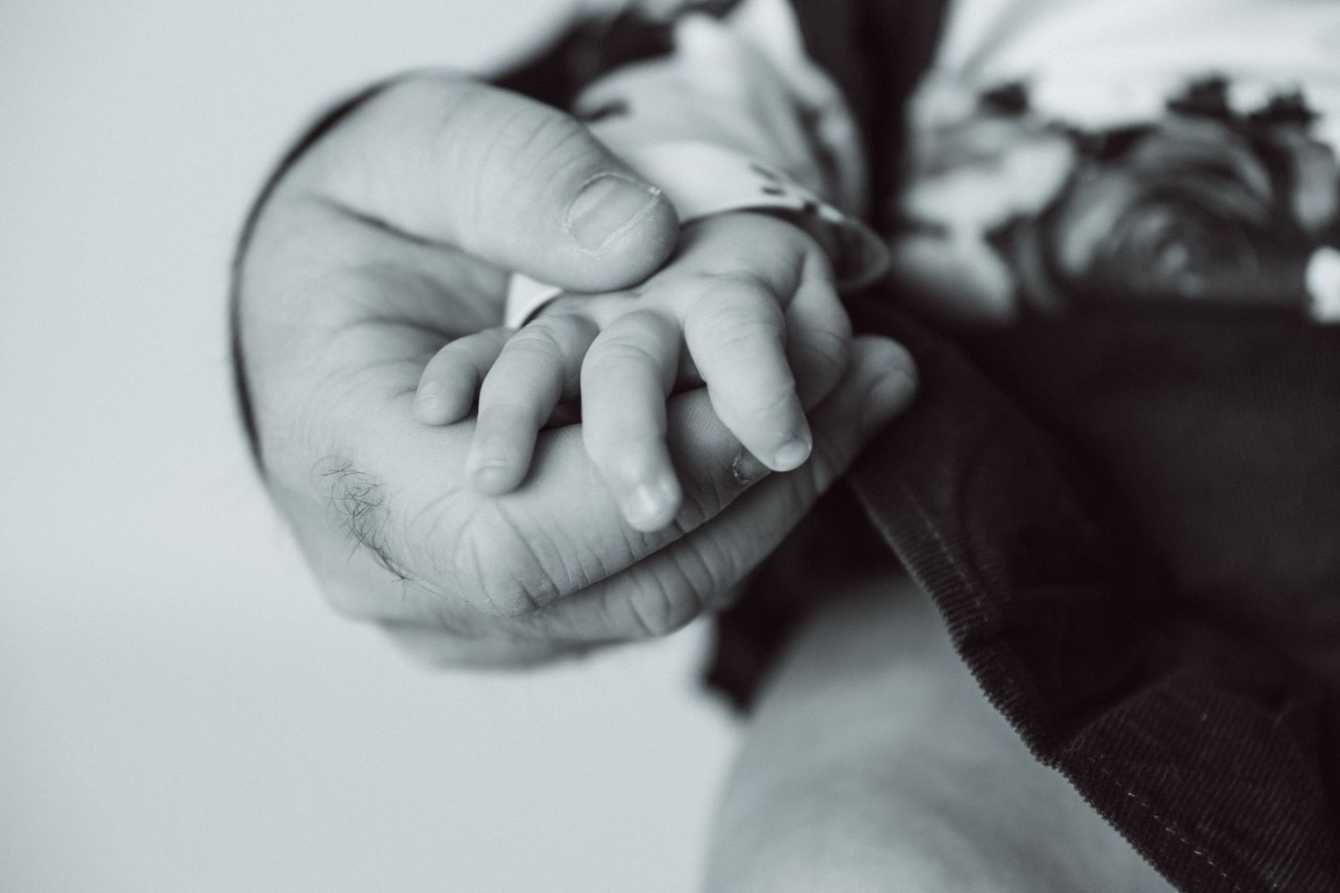 Black and white macro photographs show hands gently holding and examining small objects in sequence.