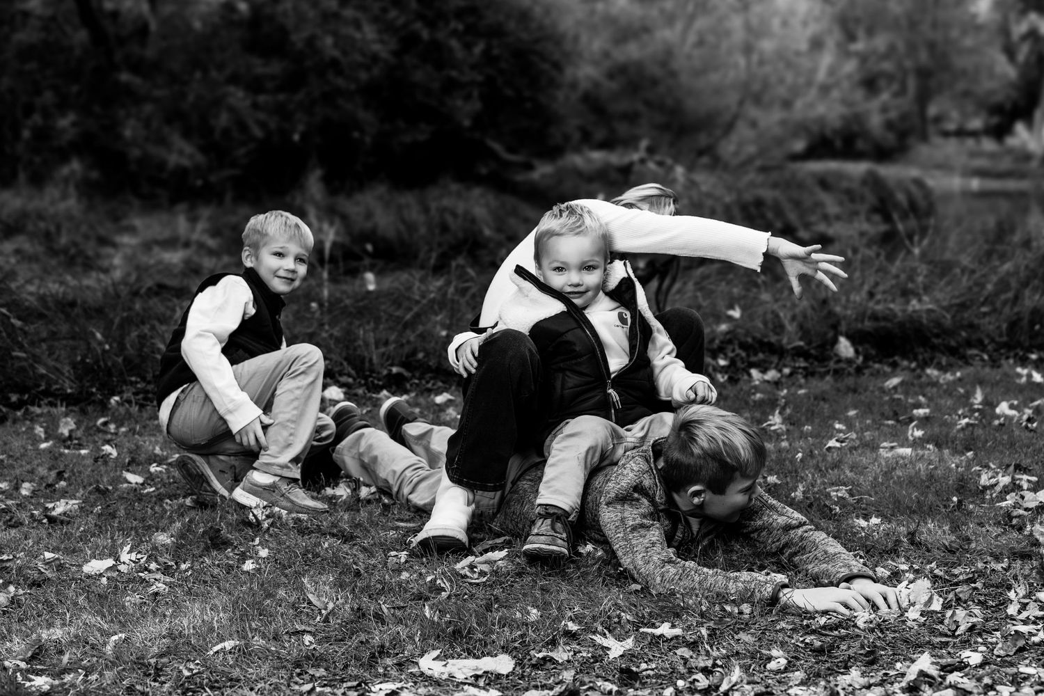 Black and white sequence of couple playing and rolling in autumn leaves during photoshoot.