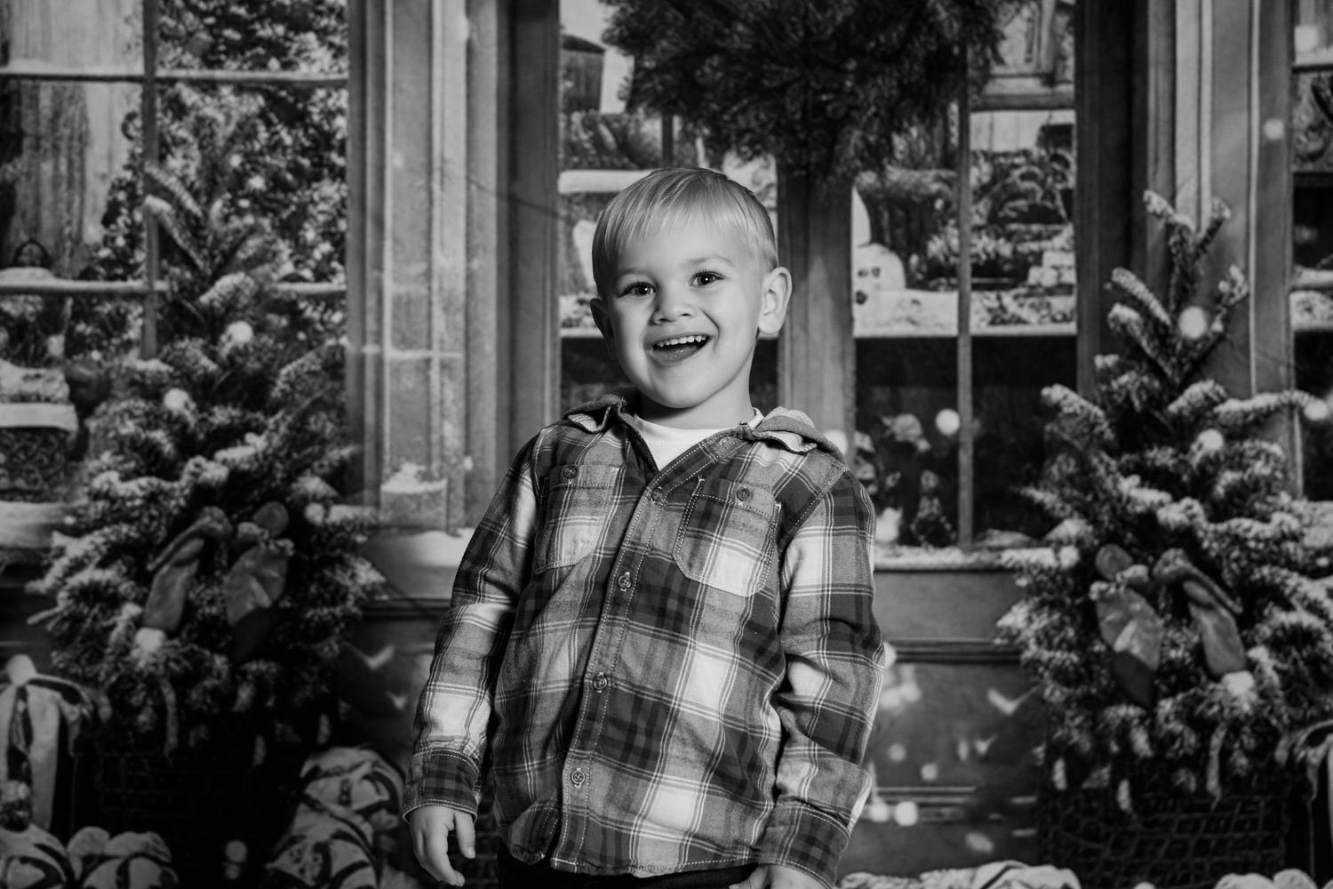 Black and white holiday portrait with Christmas trees and twinkling lights.