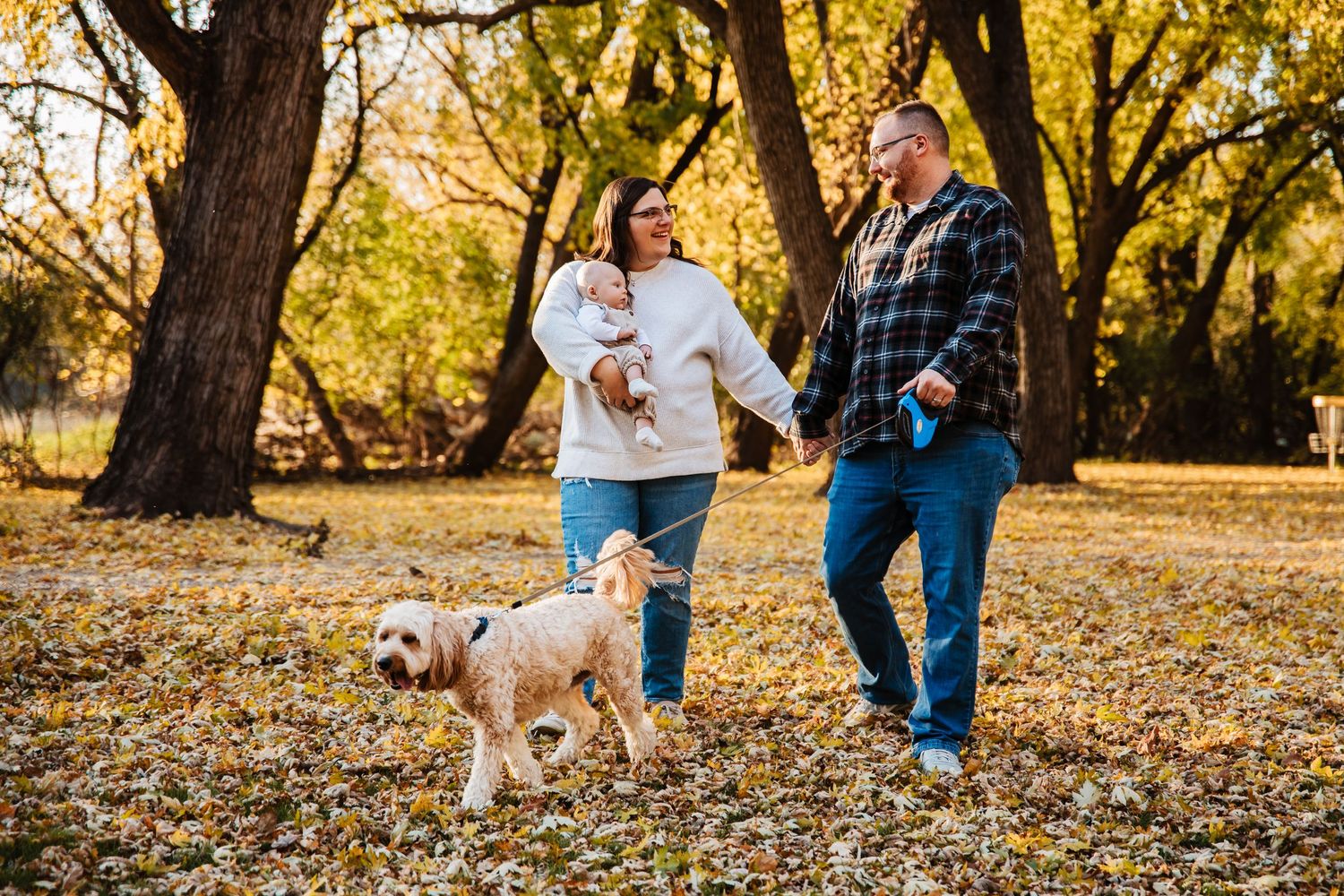 A dog plays with its owners in a park filled with golden autumn leaves on a sunny afternoon.