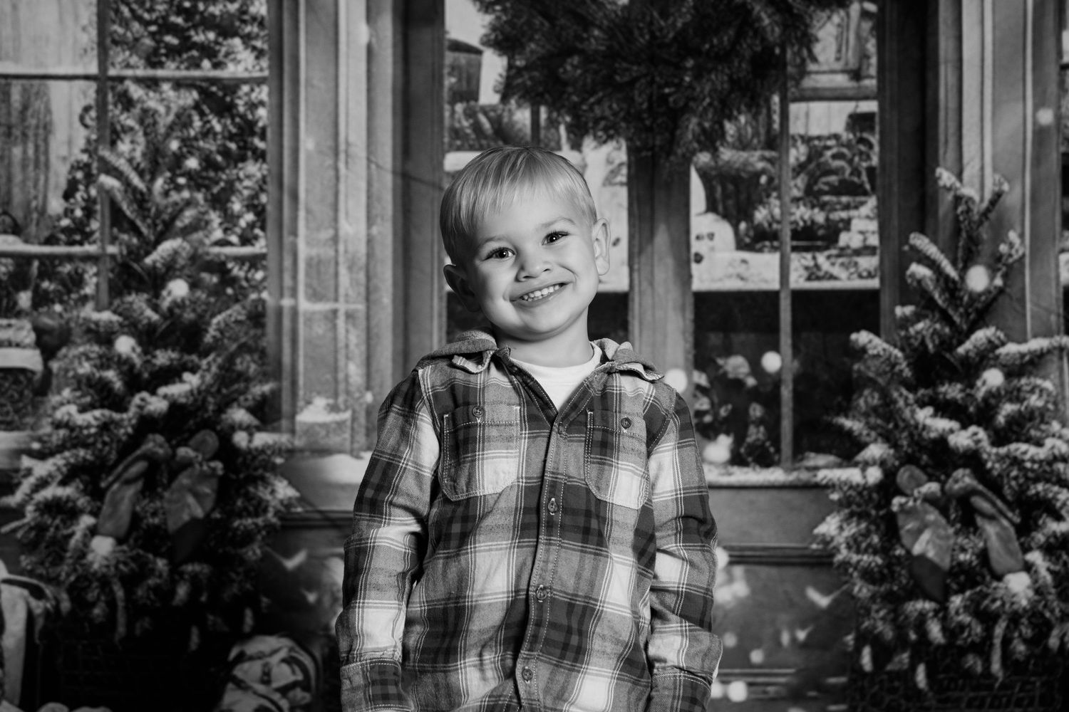 Professional portrait sequence with Christmas trees and holiday decor in background.