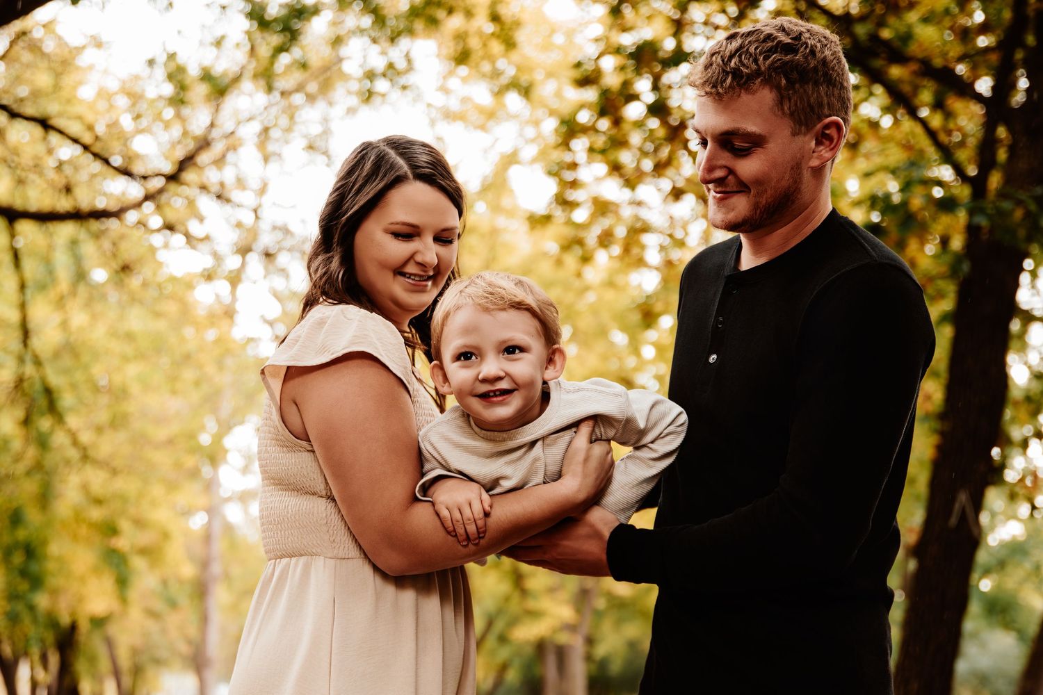 Intimate family moments captured during a golden hour photo session in a park setting.
