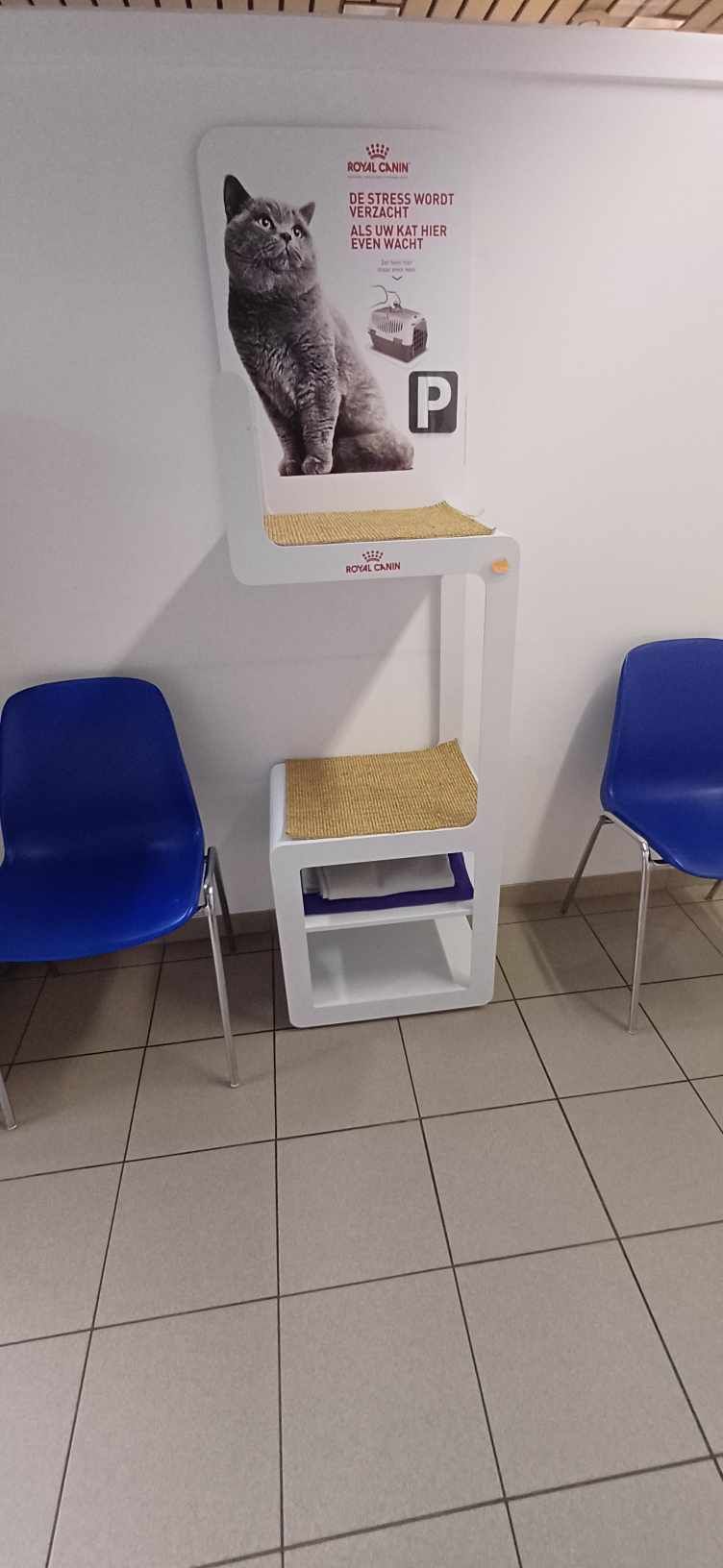 Kattenparking in de wachtzaal