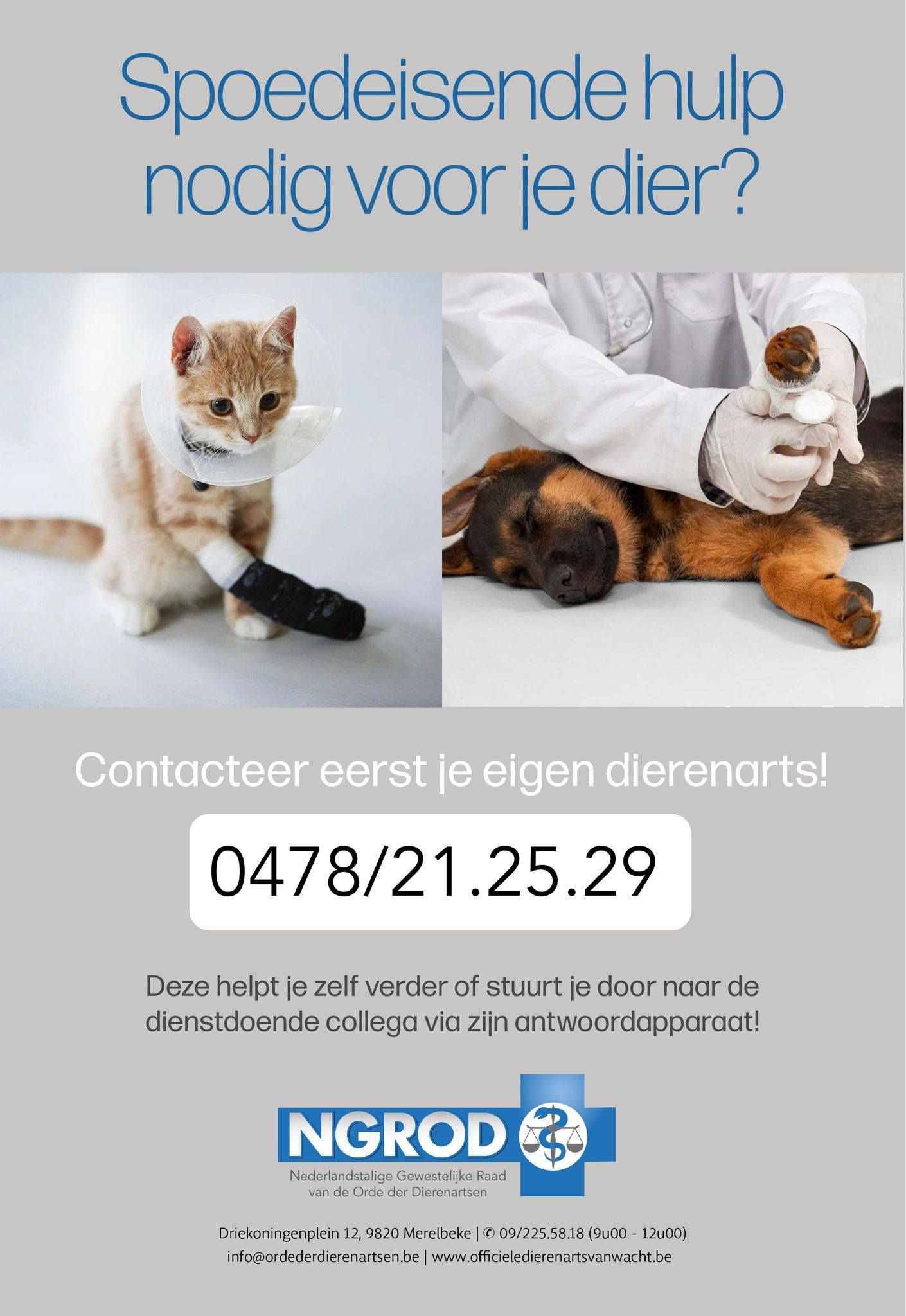 Wachtdienst