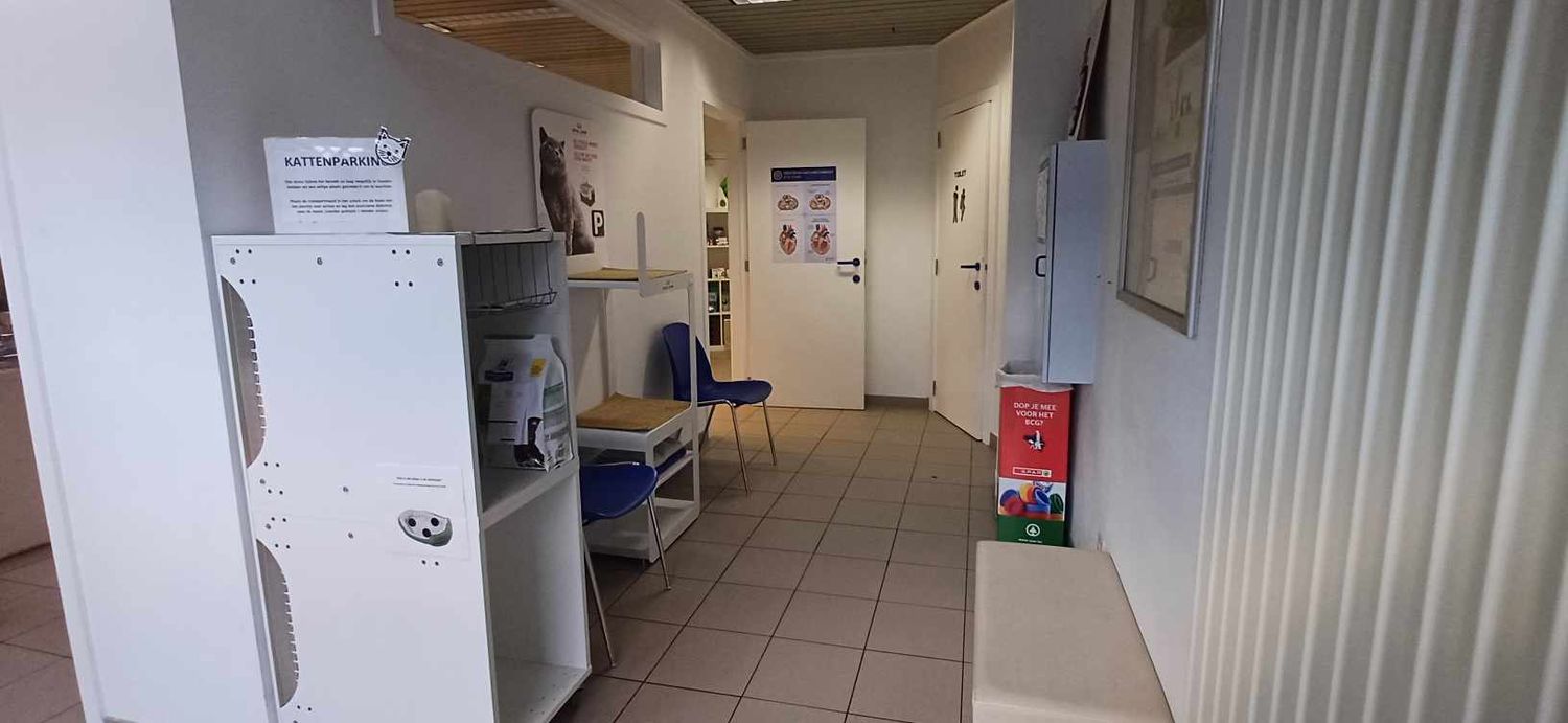 Wachtzaalgedeelte voor de katten