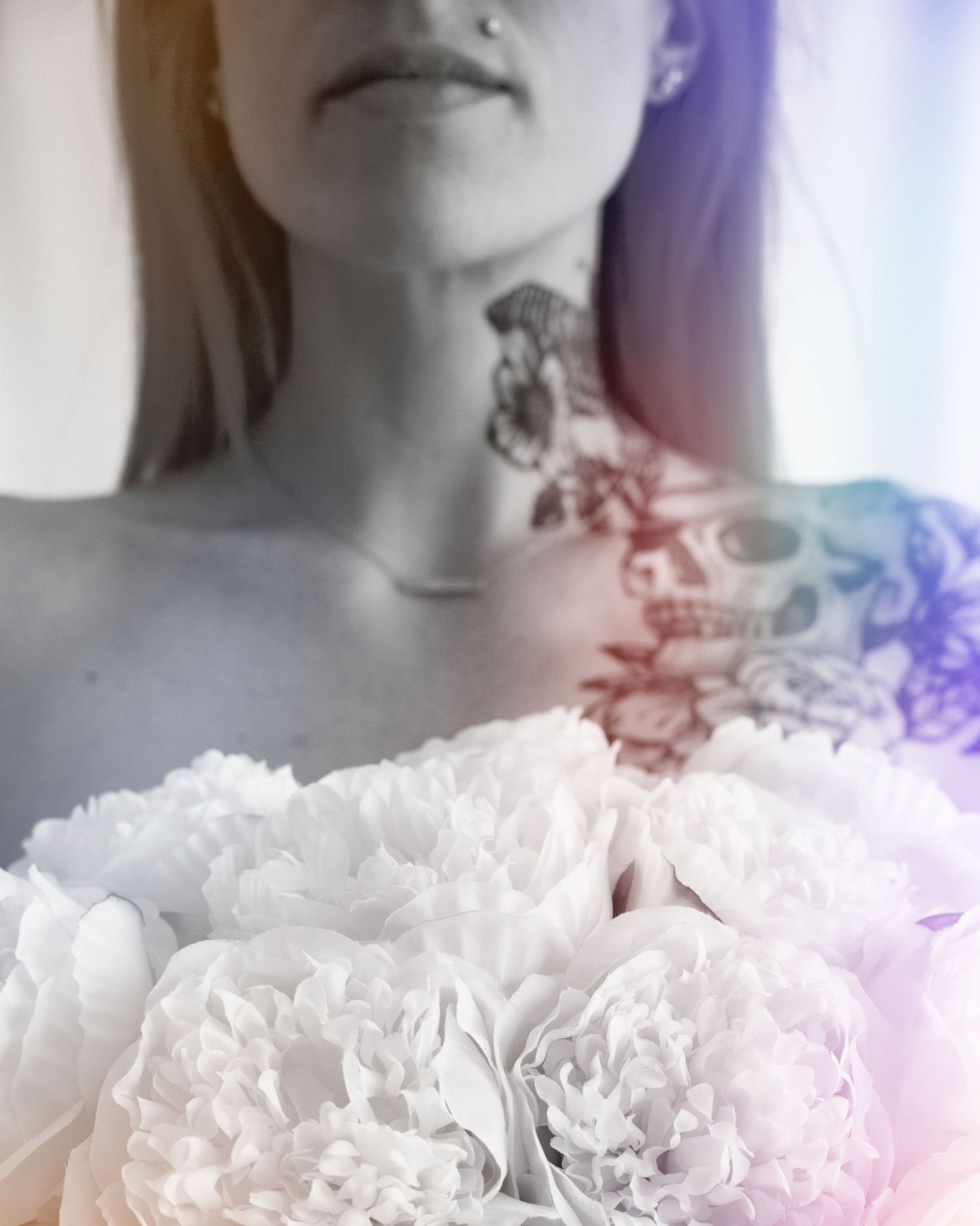 A cropped portrait with delicate white carnation flowers arranged in a soft gradient against a blurred background.