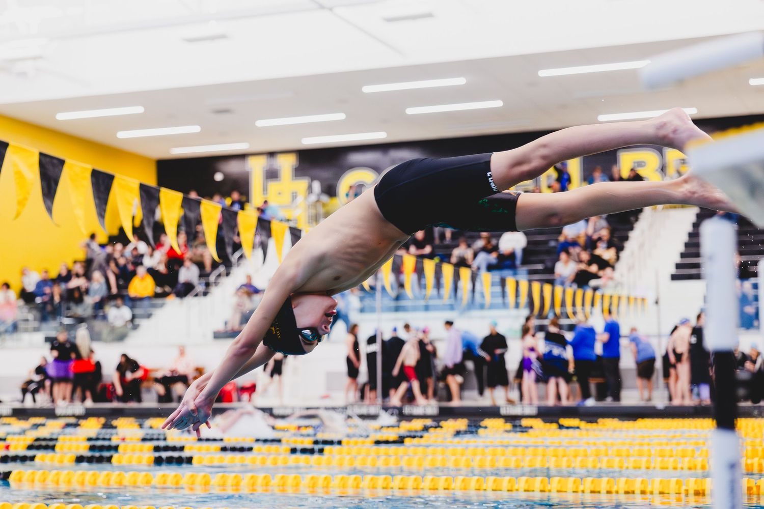 Swimmer diving into pool at indoor swim meet with yellow and black team colors in background.