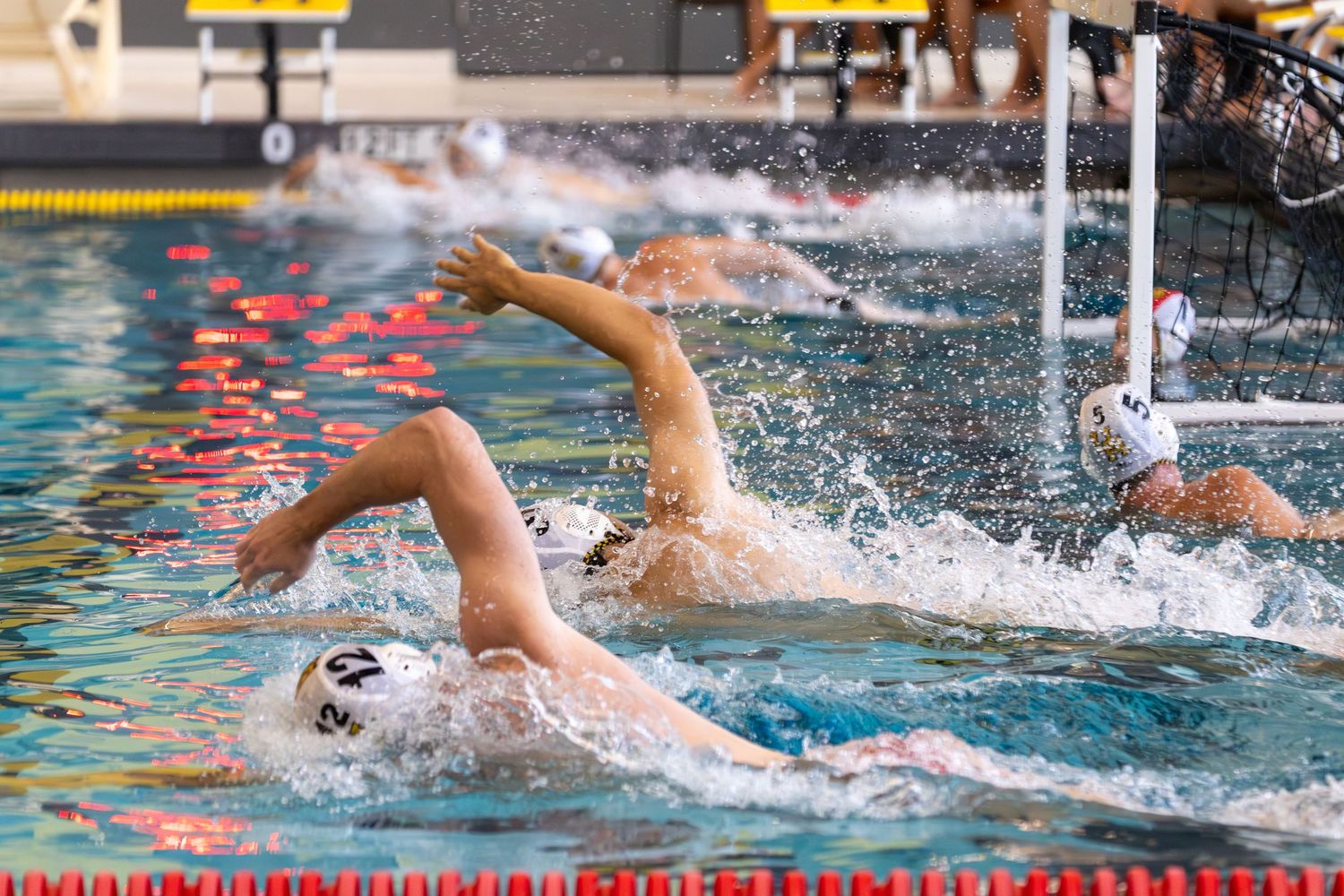 Competitive swimmers racing in an indoor pool, splashing water during an intense freestyle swimming competition.