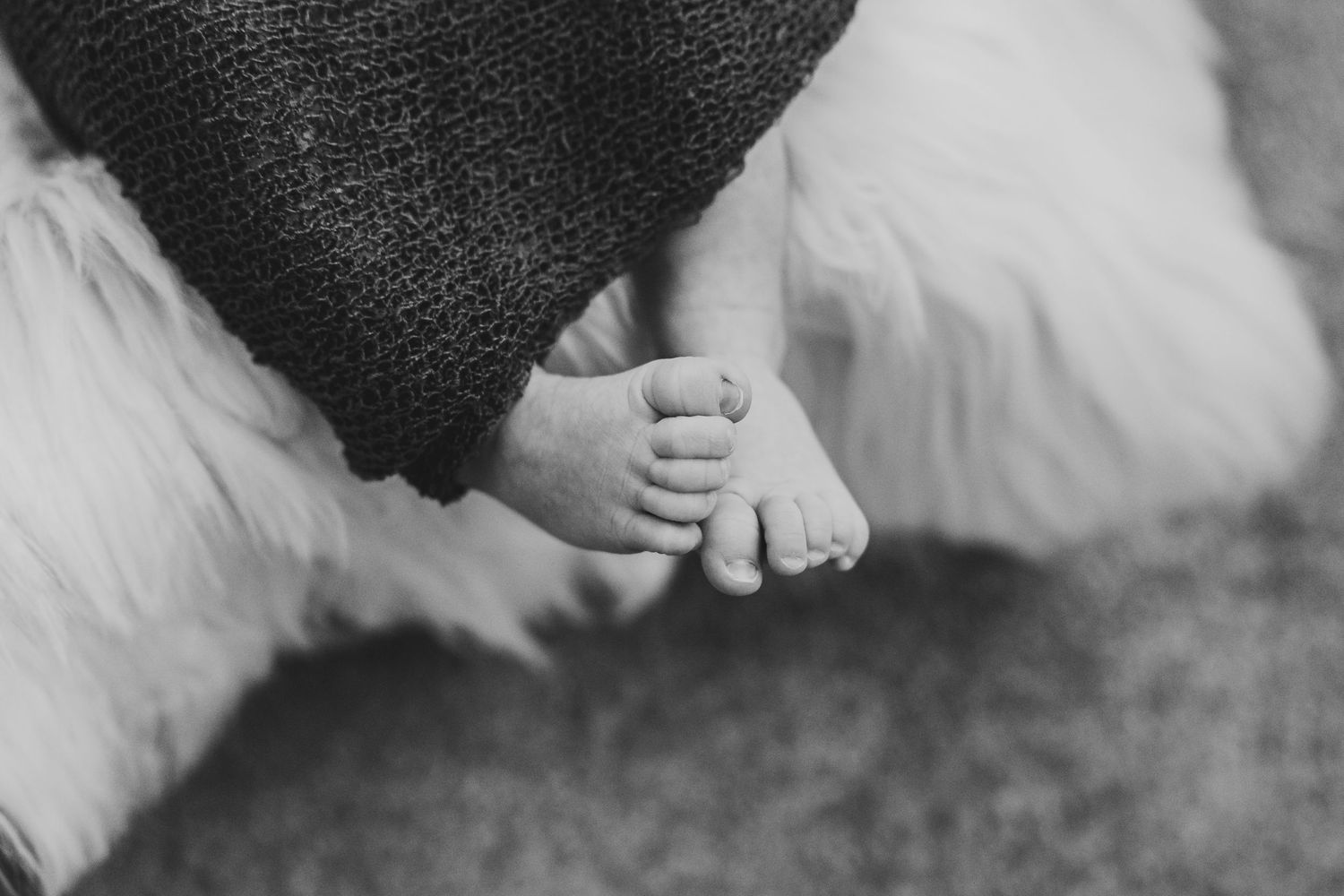 Black and white close-up of tiny newborn baby feet wrapped in a knit blanket on a fluffy white surface.