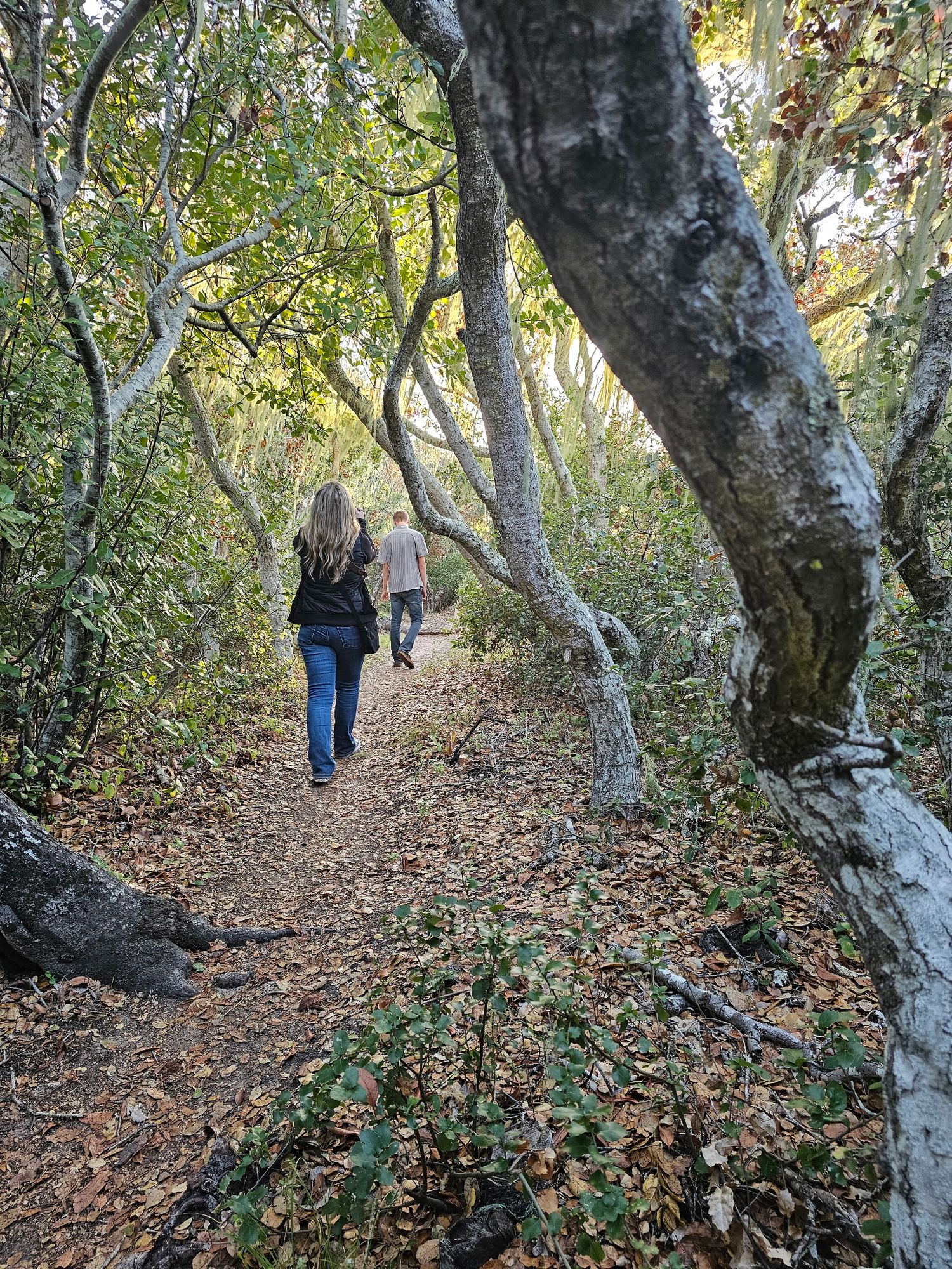 Two women hiking on a leaf-covered forest trail surrounded by twisted bare trees in fall.