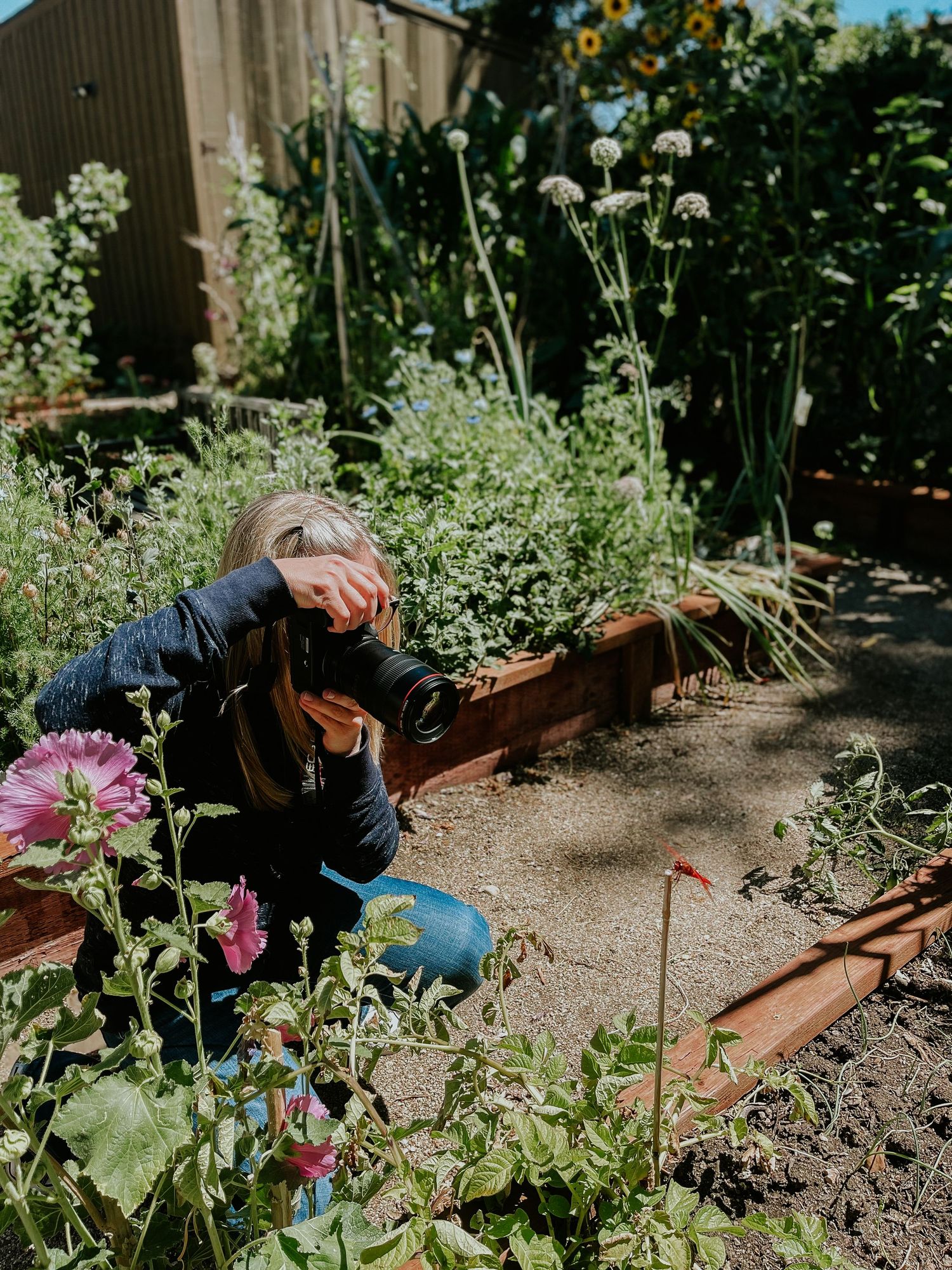 Woman tending to a lush raised garden bed filled with flowers and herbs on a sunny day.