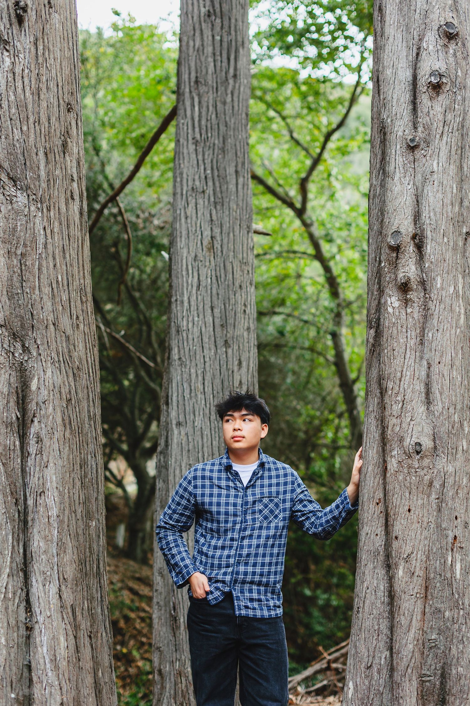 Young Asian man in plaid shirt standing between tall trees in a lush green forest, looking upward thoughtfully.