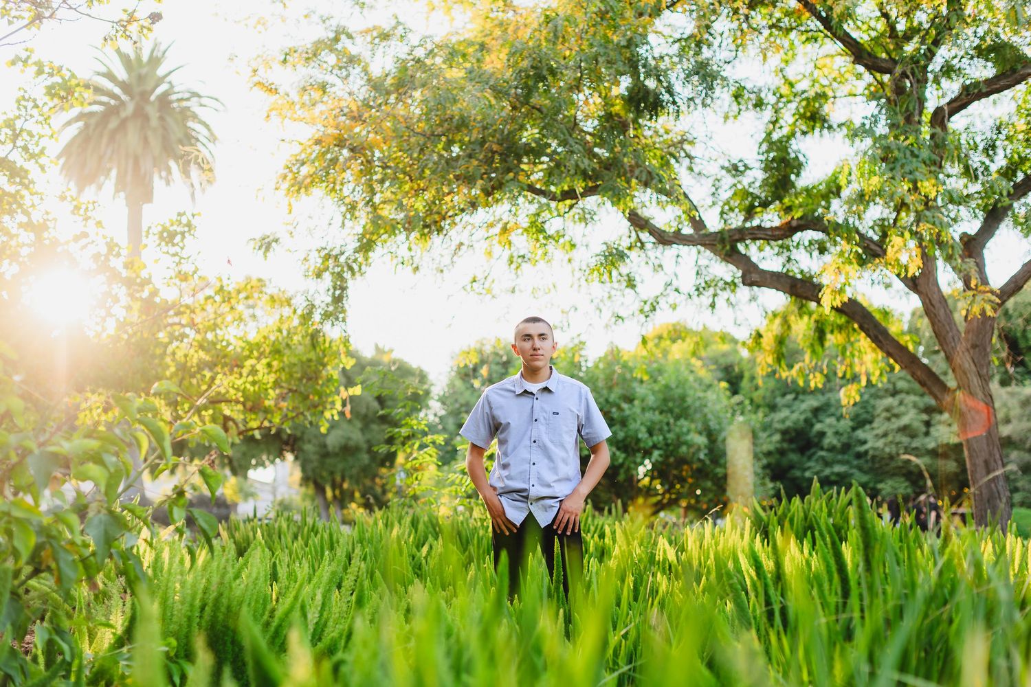 A couple stands together in a lush garden setting during golden hour with sunlight filtering through the trees.