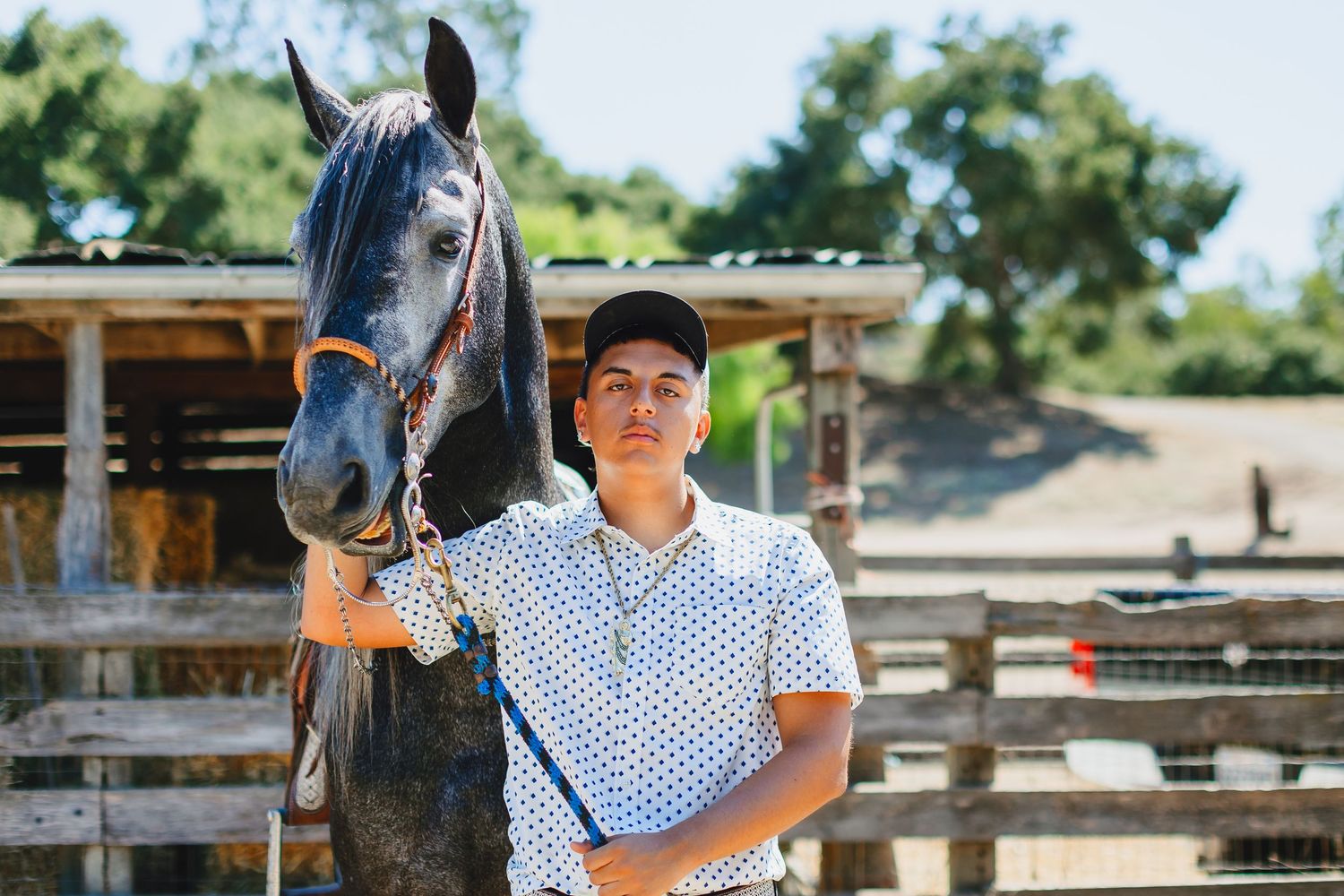 A polka dot shirt and baseball cap at a sunny equestrian stable with a dark horse in the background.