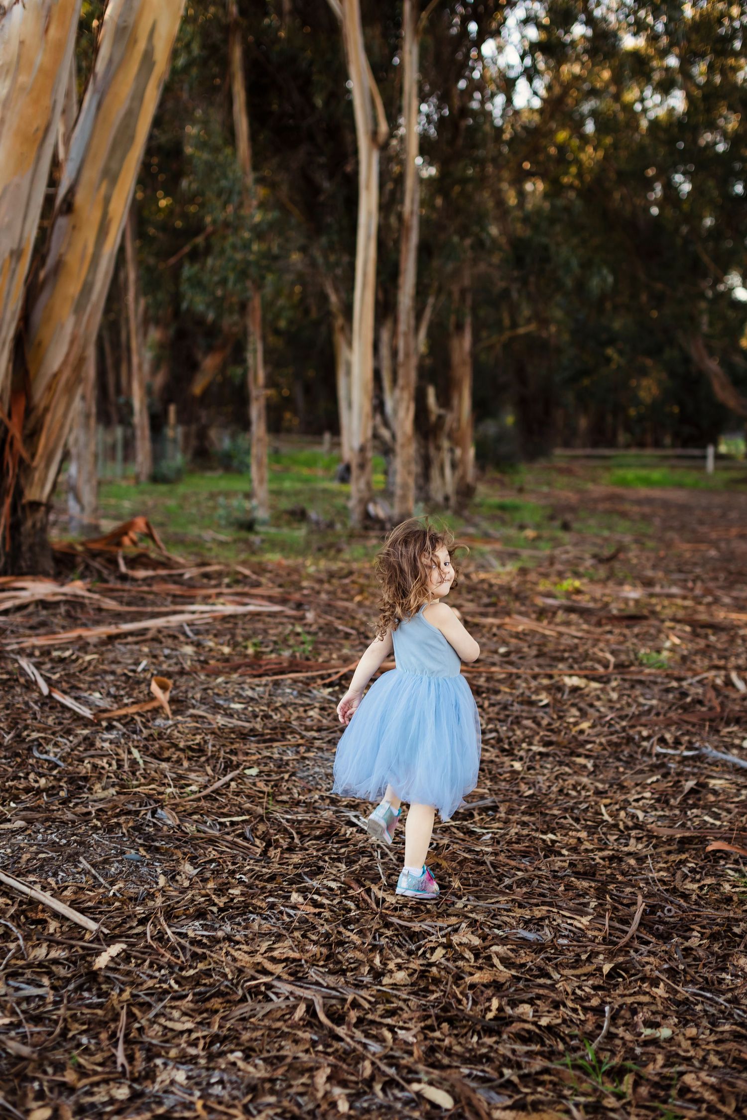 A small child in a blue tutu dress skips through a wooded area covered in fallen eucalyptus leaves at sunset.