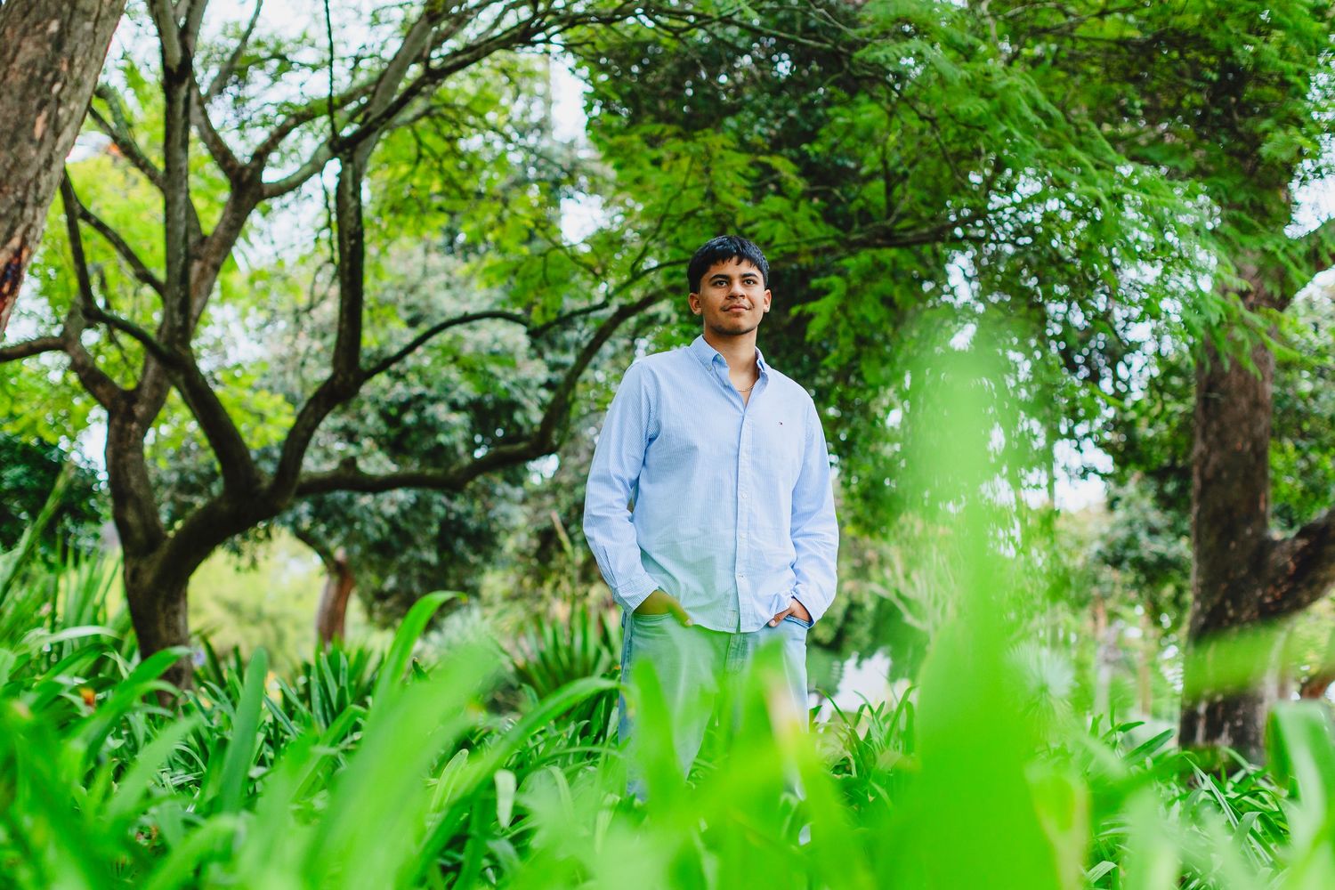 A person in a light blue shirt stands in a lush green garden with tall trees providing natural shade in the background.