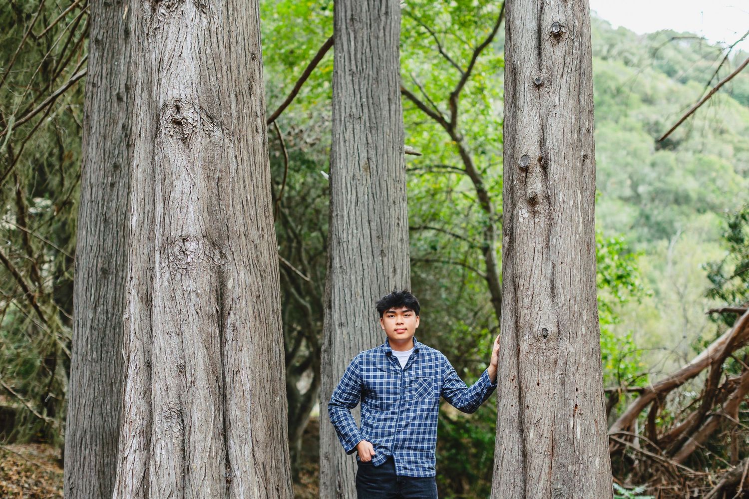 A person stands between tall redwood trees in a lush green forest wearing a blue plaid shirt and baseball cap.