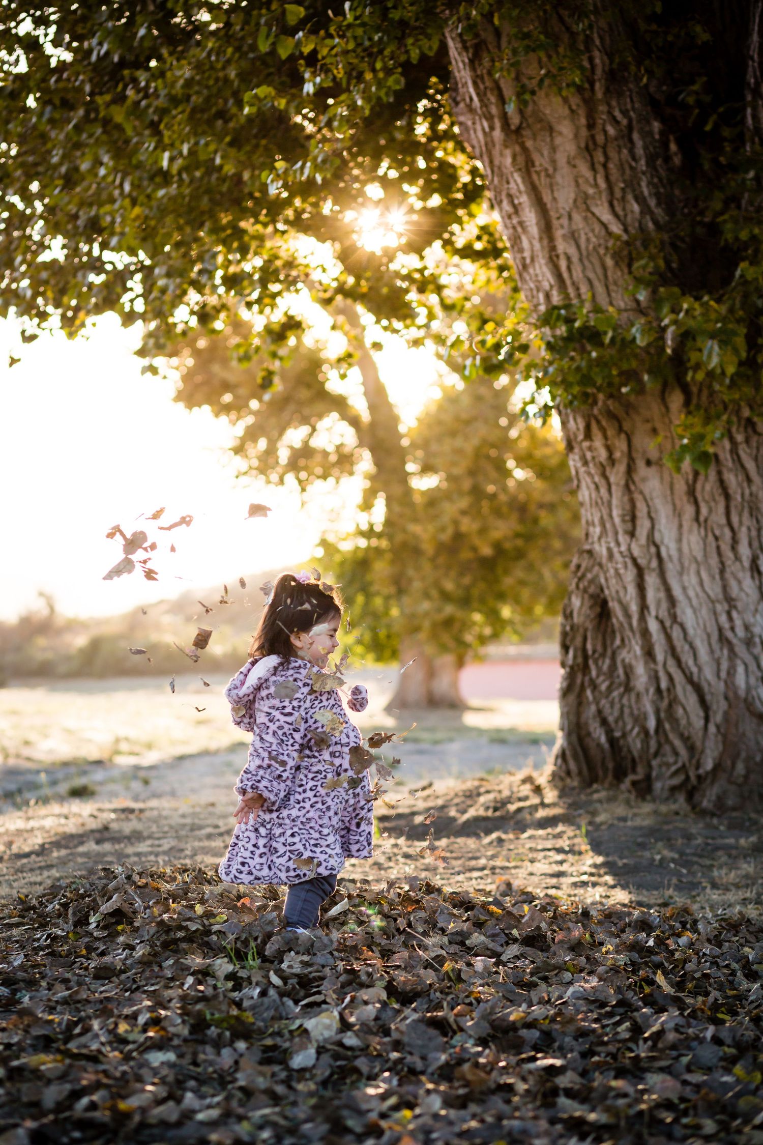 Child in floral dress plays in fallen autumn leaves at sunset under a large tree.