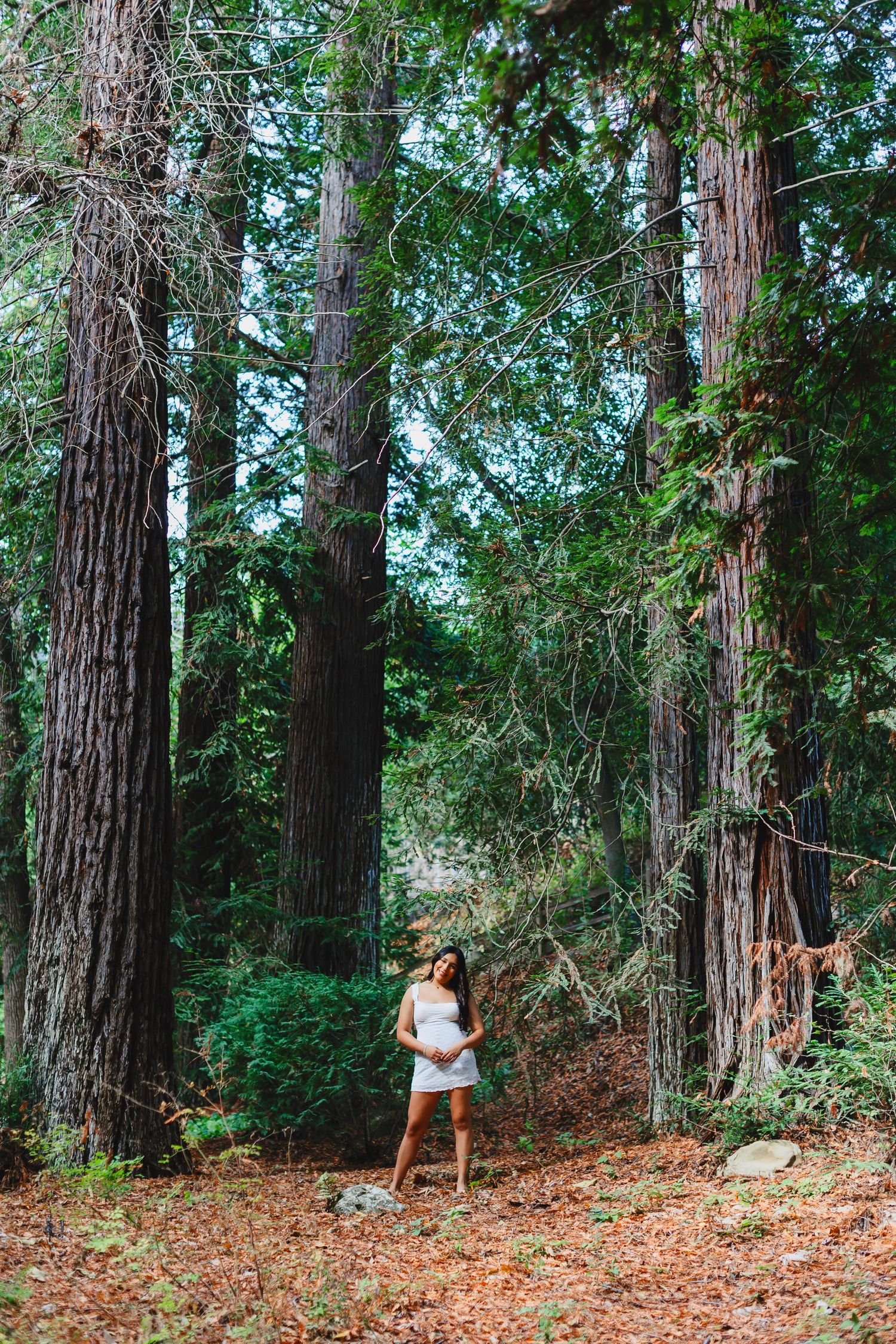 Pregnant woman in white dress standing among tall redwood trees in a lush forest setting.