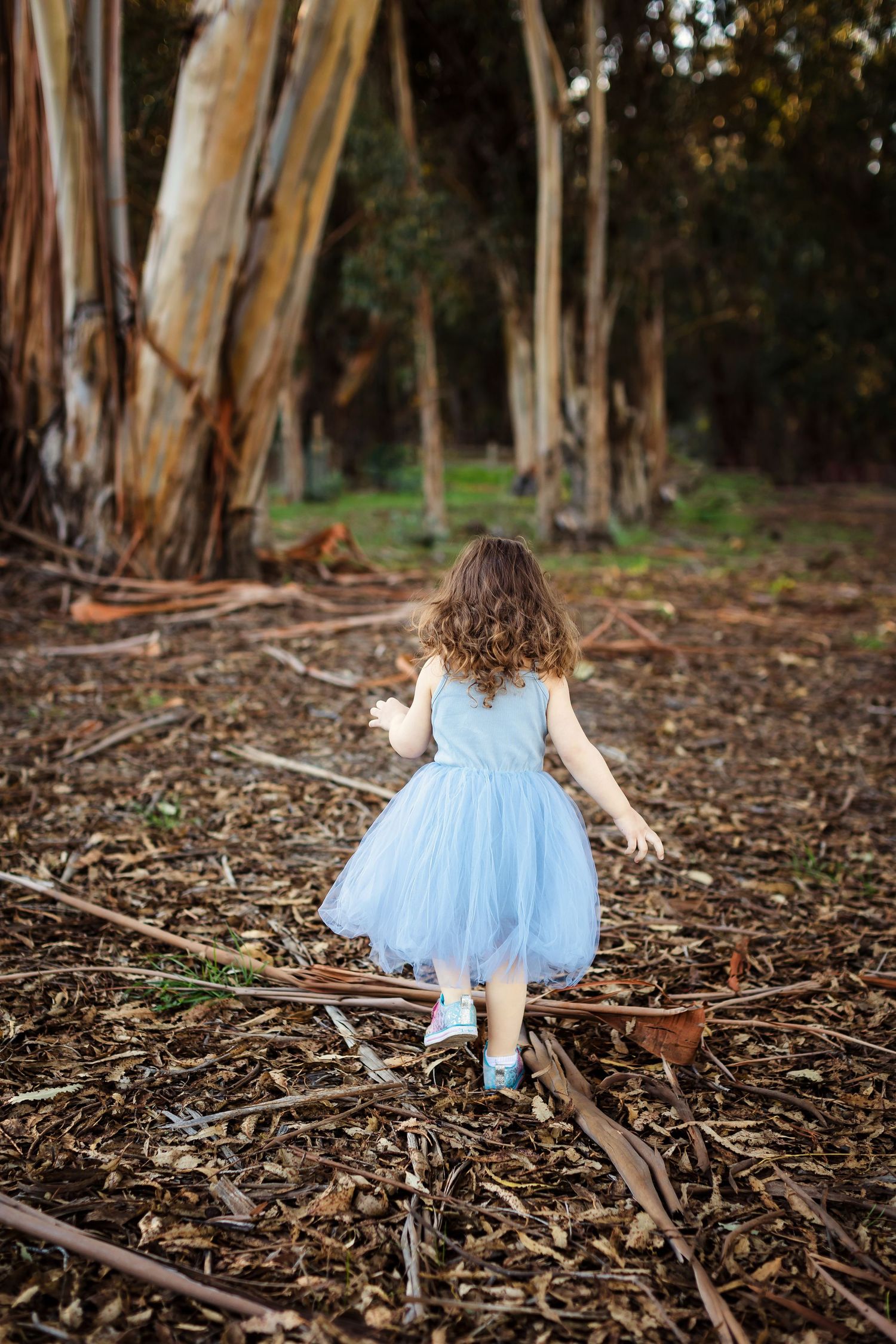 A child in a light blue tulle dress twirls and plays among fallen eucalyptus branches in a forest setting.