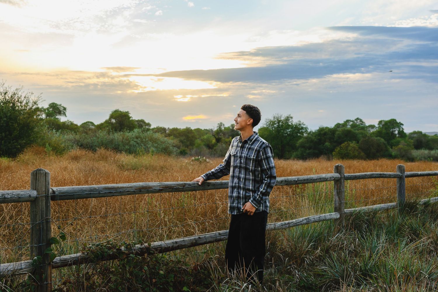 Young man in plaid shirt leaning on wooden fence at sunset in a golden field with trees in background.