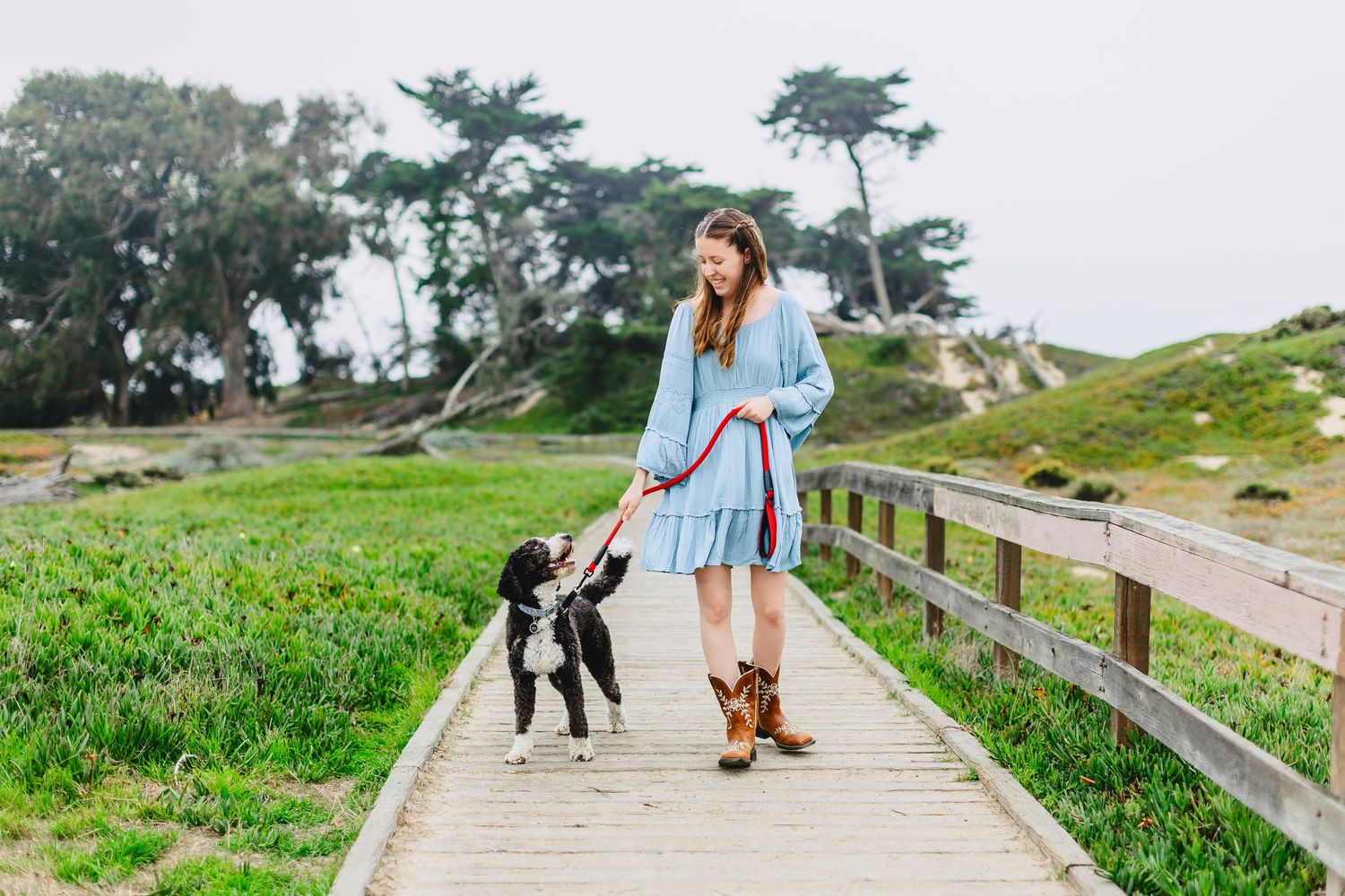 Woman in blue dress and cowboy boots walking a Boston Terrier on a wooden boardwalk path surrounded by green hills.