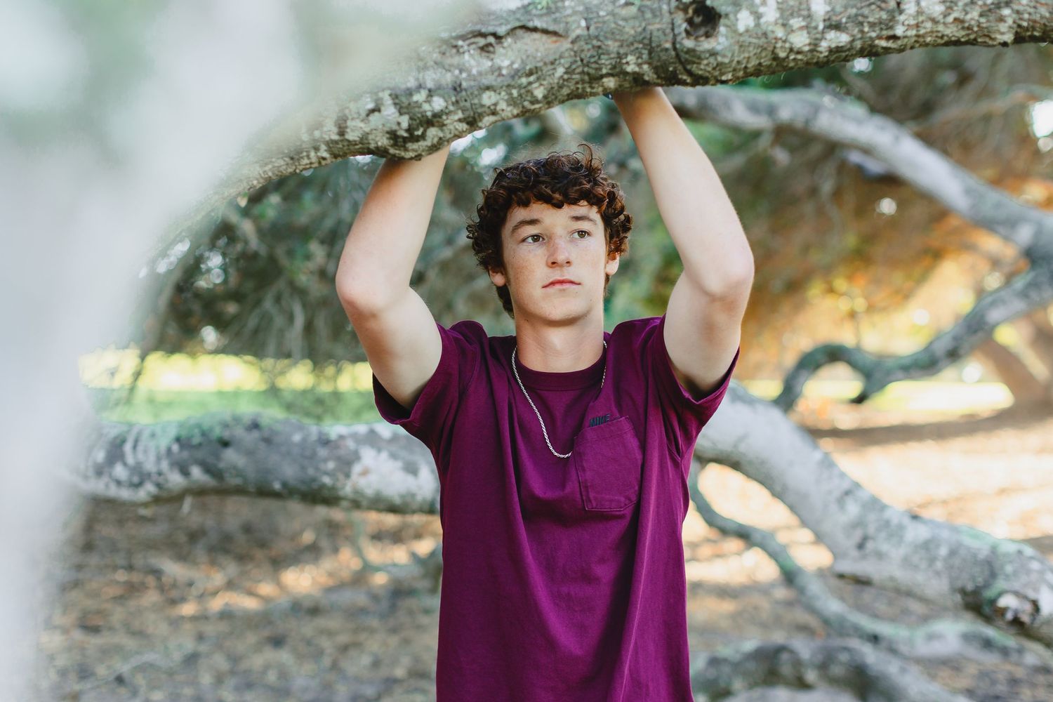 Young man with curly hair holding a tree branch in a sunlit outdoor park setting.