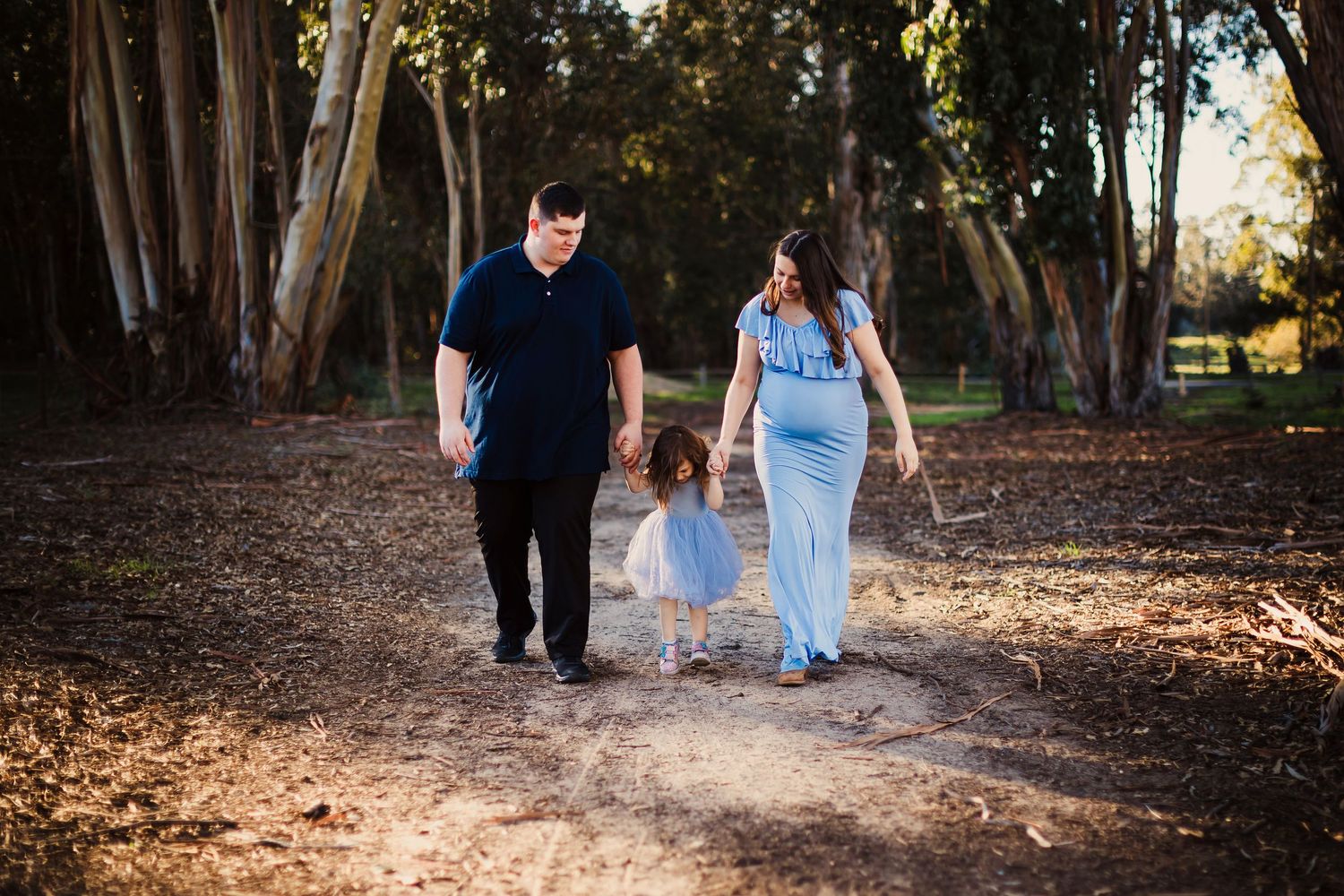 A couple walks hand in hand through a sunlit eucalyptus forest in casual wedding attire on a serene afternoon.
