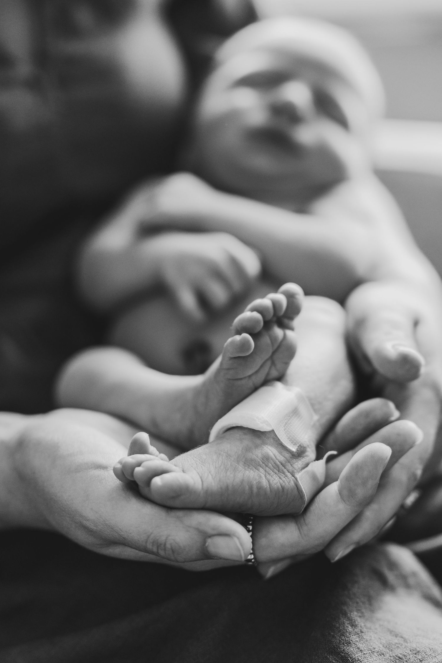 A tender black and white close-up of tiny baby feet being gently cradled in adult hands.
