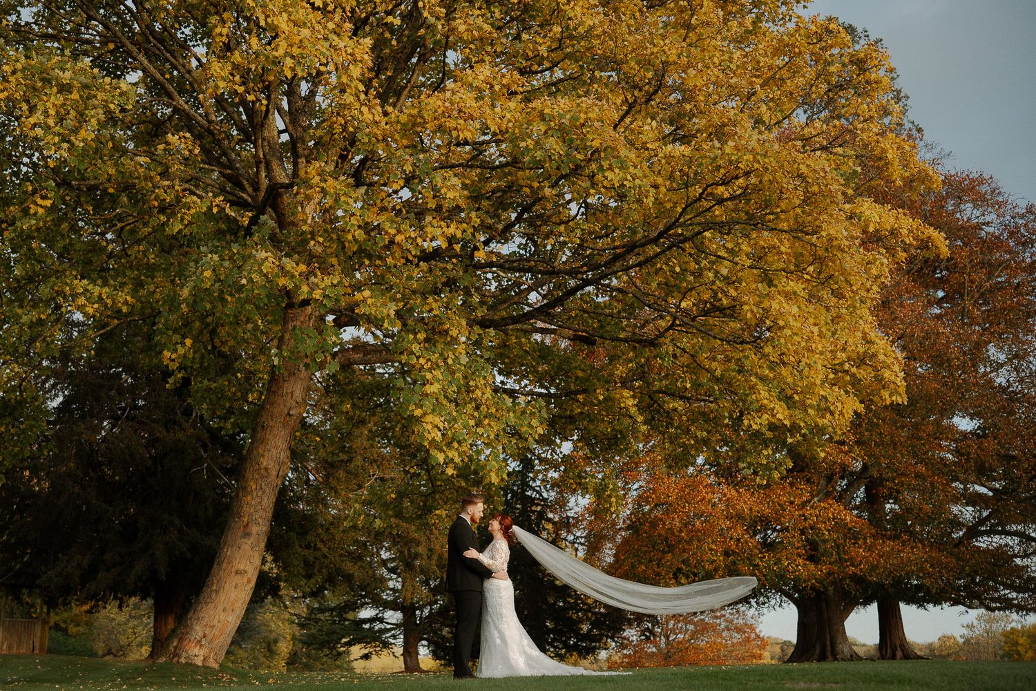 Couple sharing a romantic moment under golden autumn trees during their outdoor wedding photoshoot.